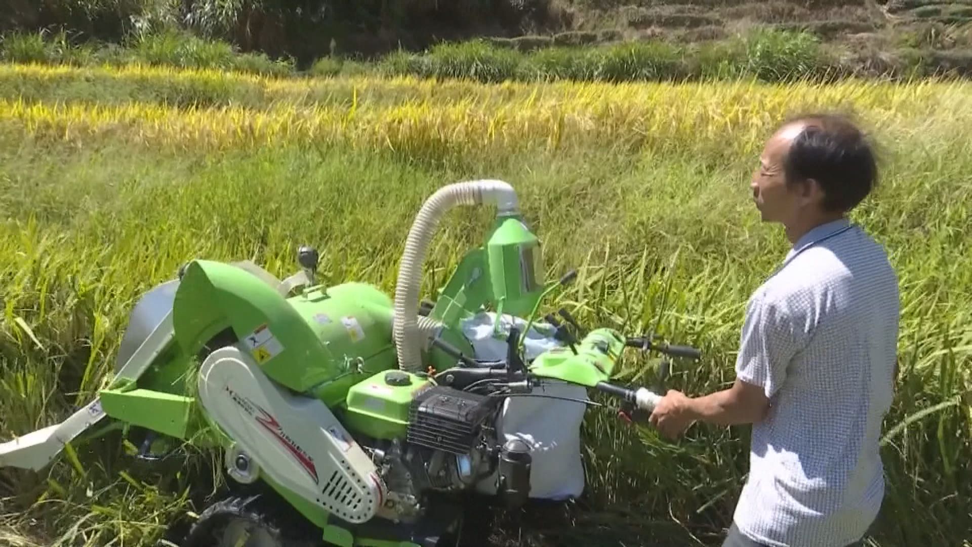 路透：中國計劃買逾三千萬噸農作物儲備