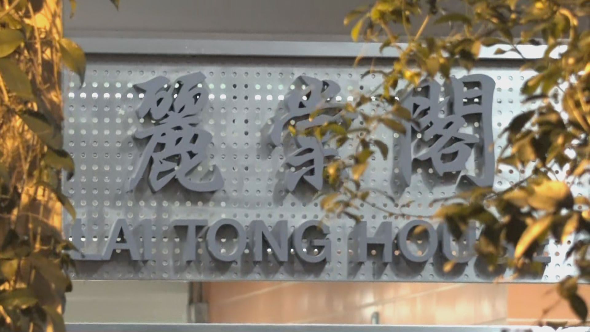 麗翠苑麗棠閣圍封強檢發現105宗初確