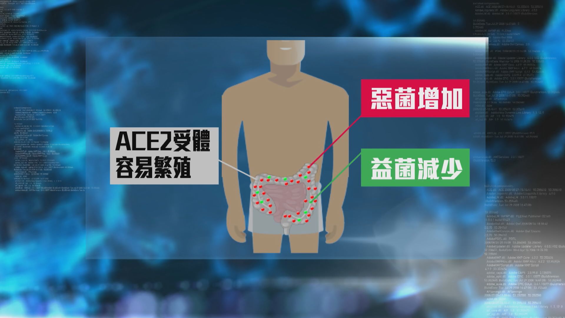 中大研發益生菌組合配方提升人體免疫力