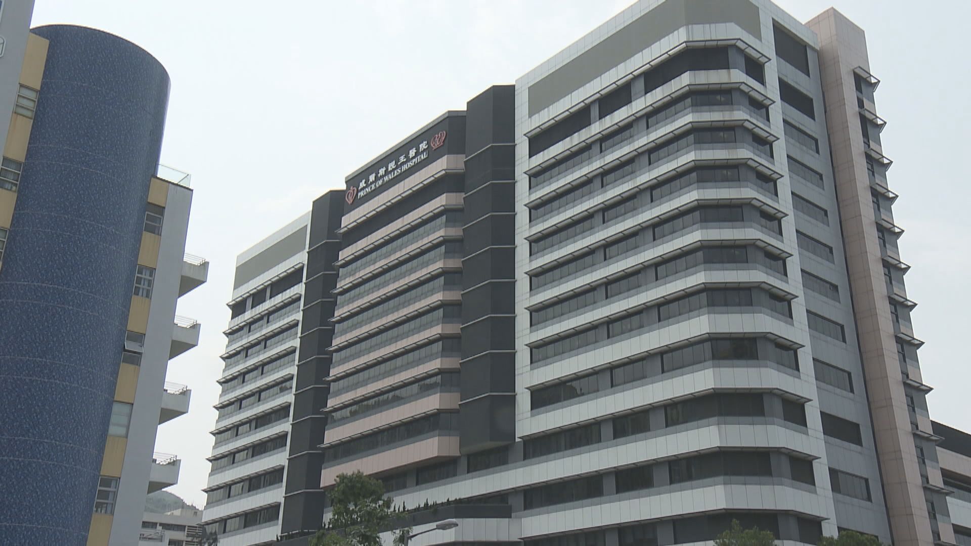 單日新增五宗長者死亡病例　累計52人死亡