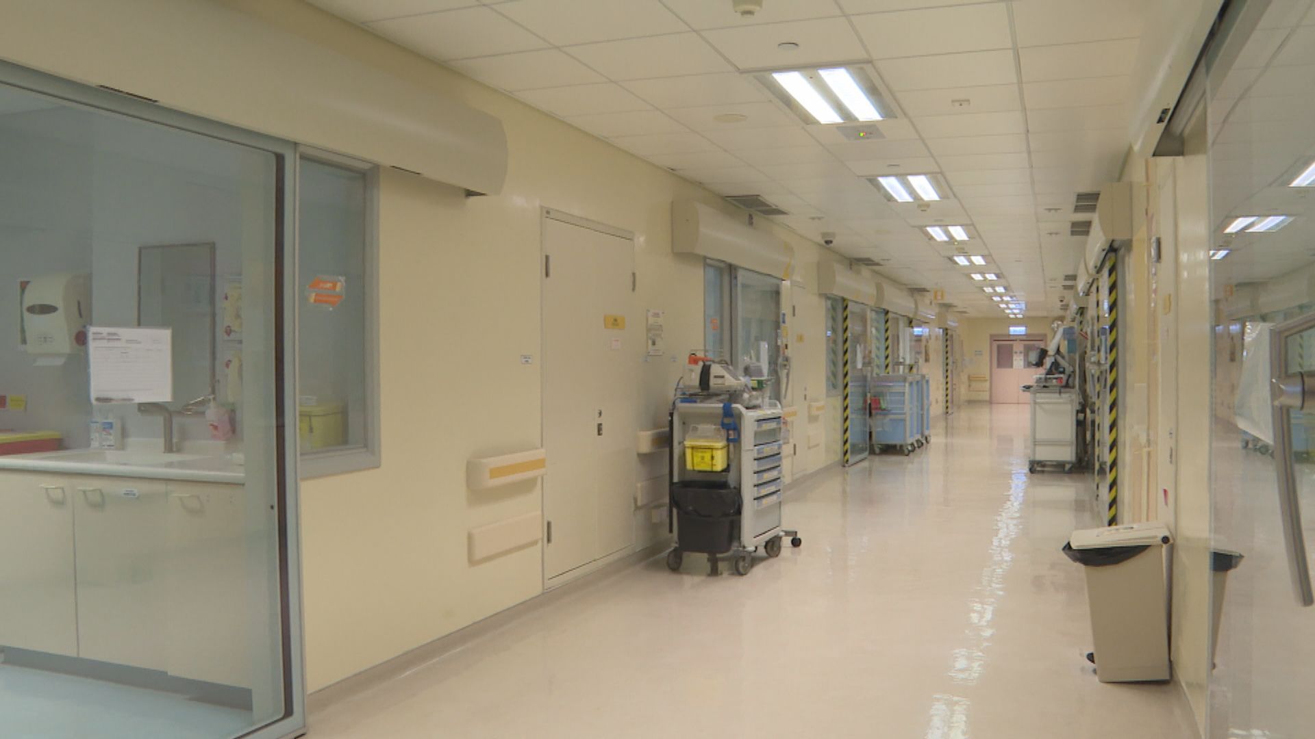 兩名分別4歲及8歲染疫女童周一離世