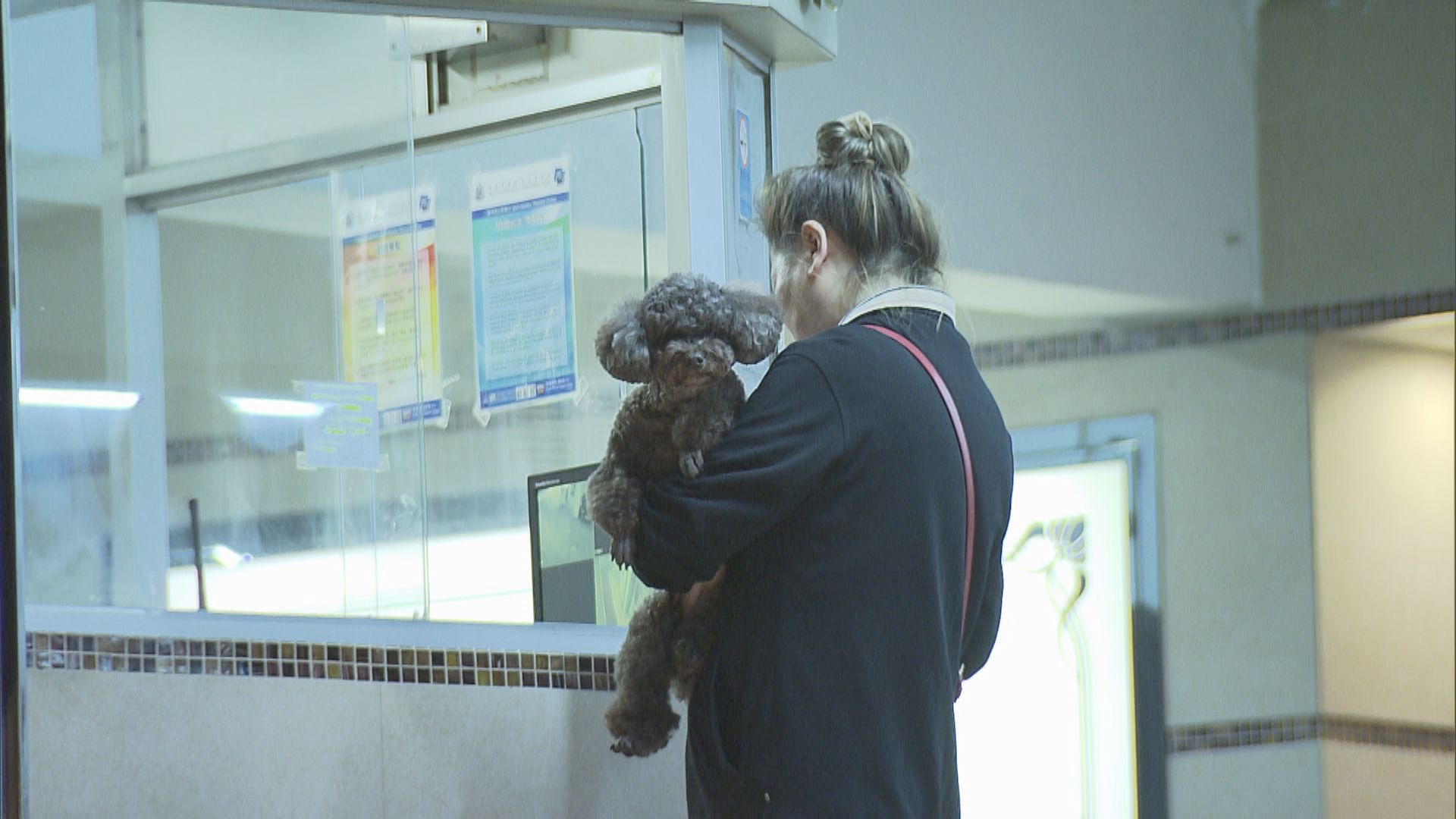 專家：狗隻檢測出病毒或是沾染主人飛沫