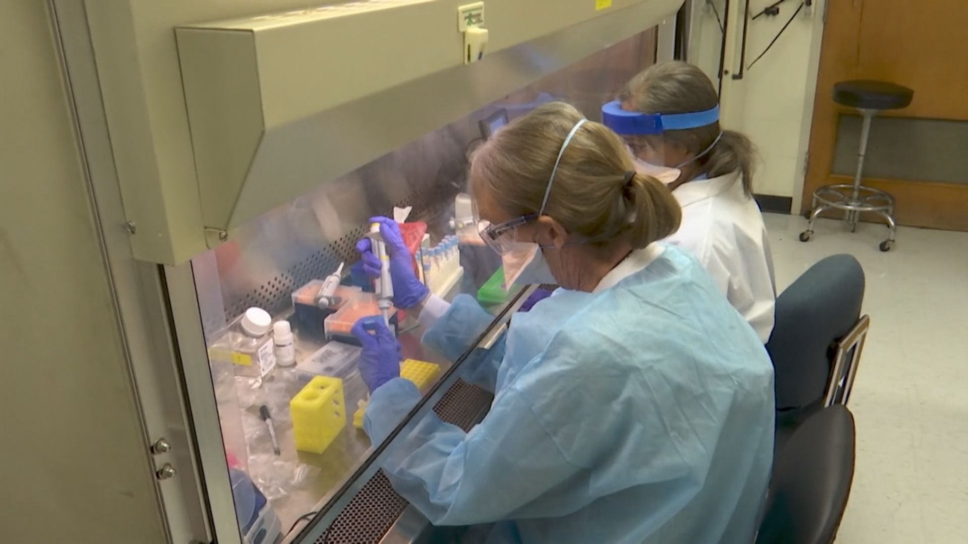 美國批准使用新快速病毒檢測方法