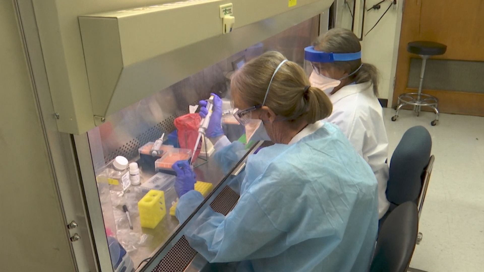 美國批准使用康復者血漿治療新冠病毒患者