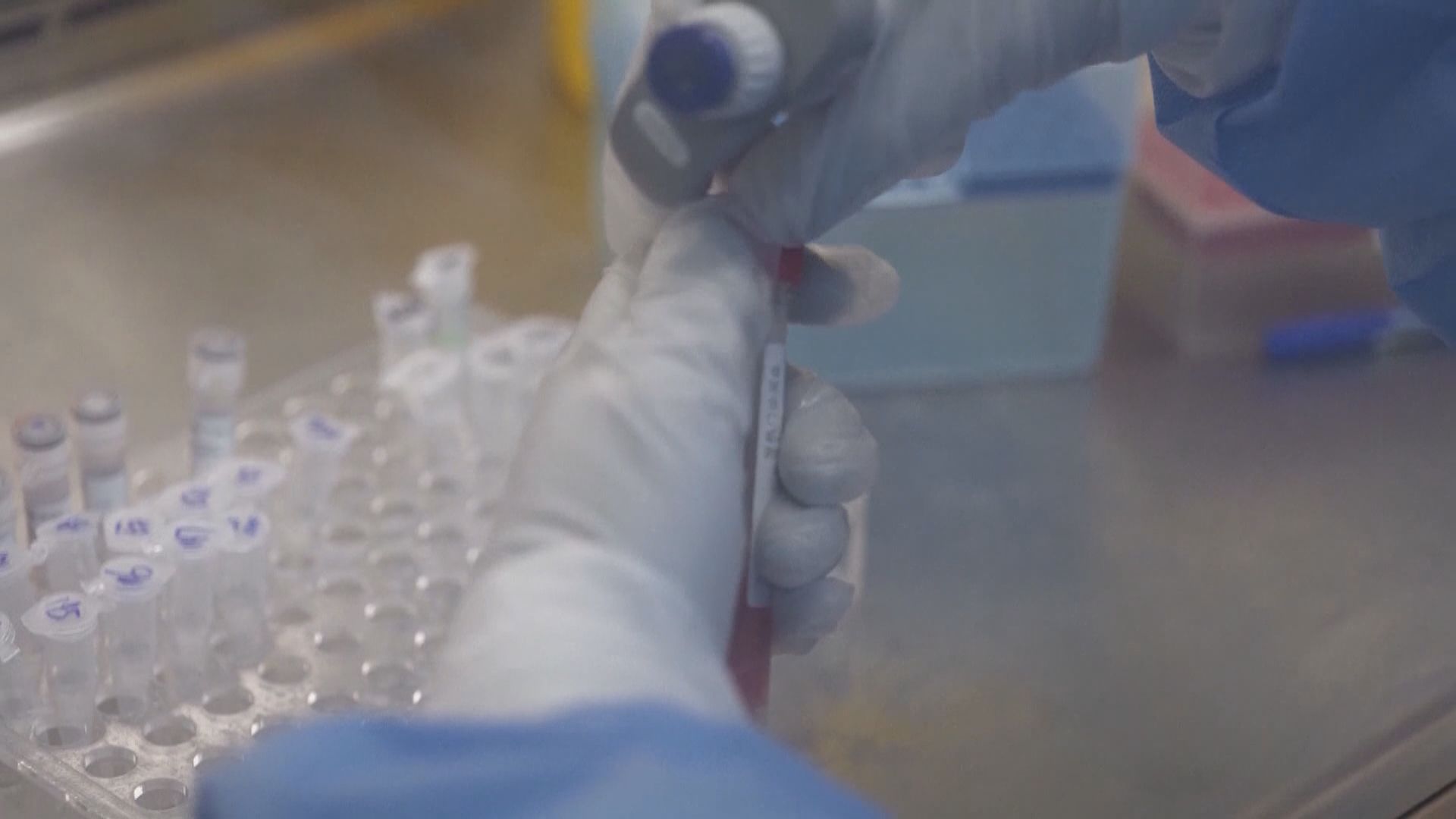 五眼聯盟：未有武漢實驗室外洩病毒證據