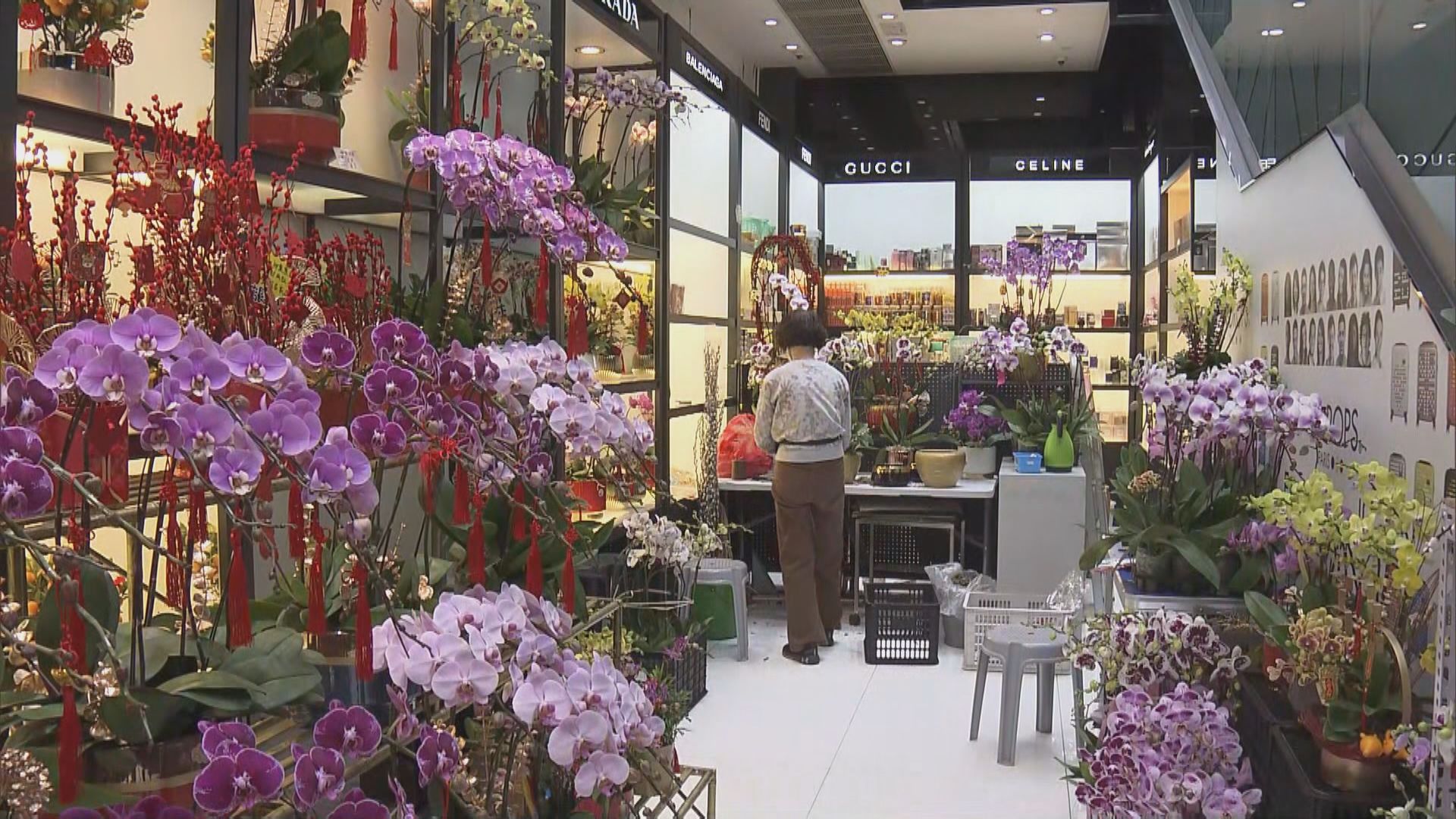 有商場借出場地供受年宵取消影響花農散貨