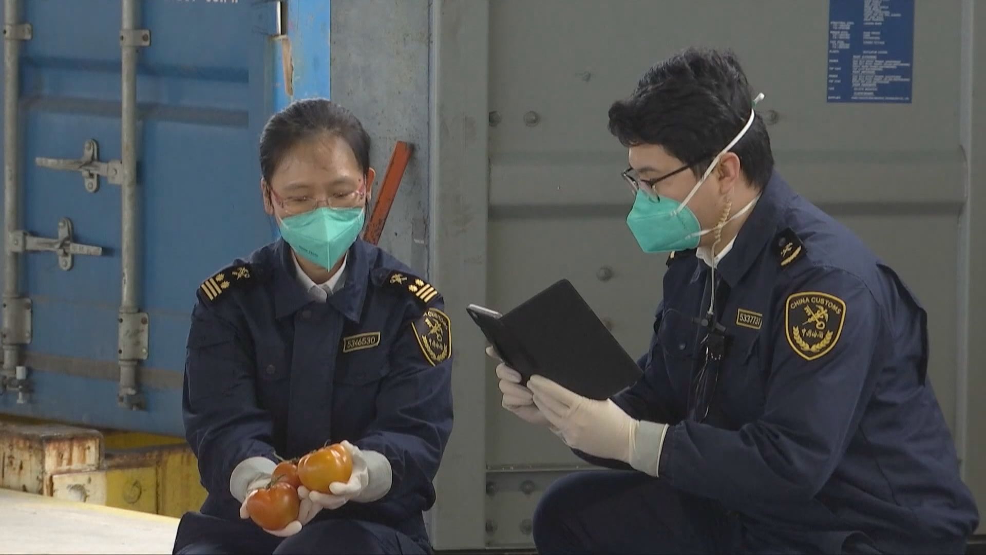 政府指內地進口本港鮮活食品供應大致回復平日水平