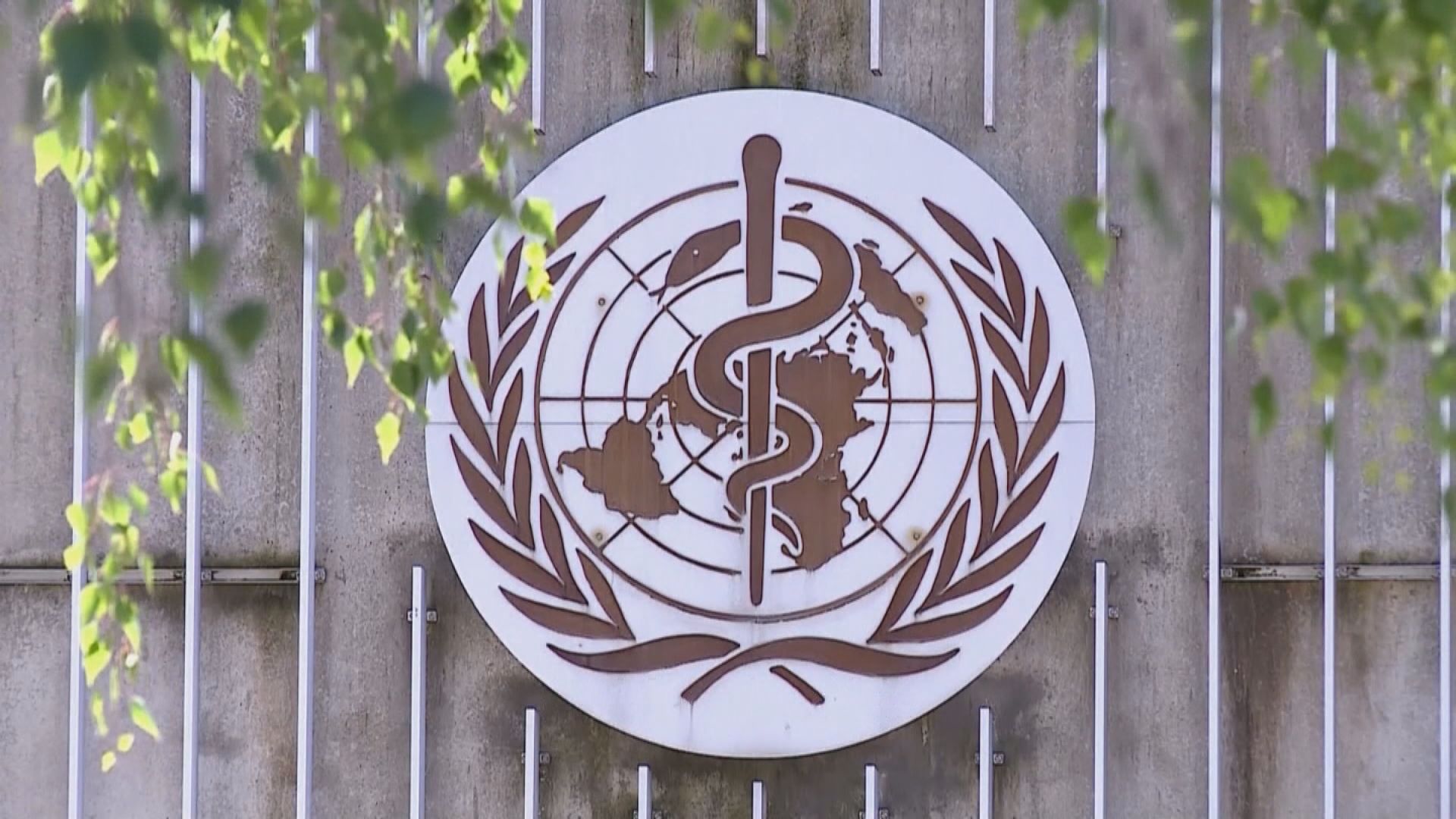 七國集團要求世衛進行徹底檢視和改革