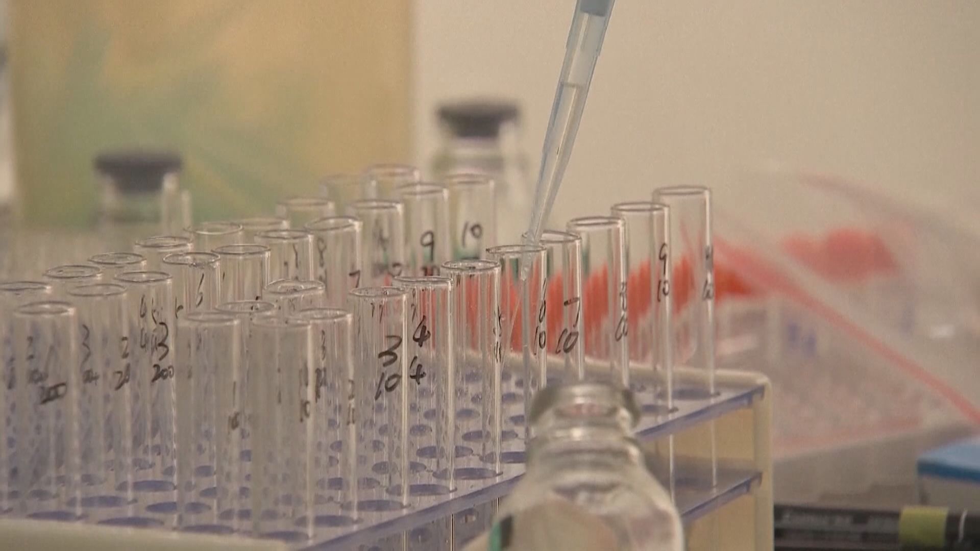 廣東首次發現巴西變種新冠病毒