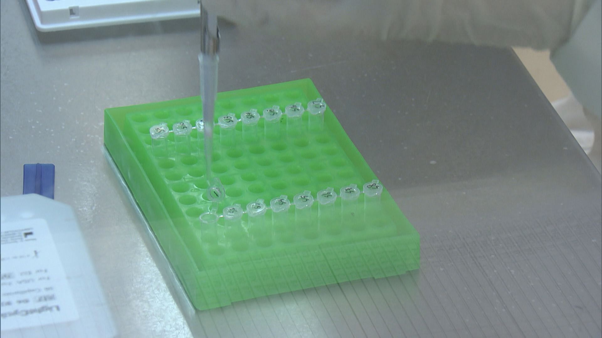 港大研究團隊發現新型廣譜抗病毒肽可對抗最少六種病毒