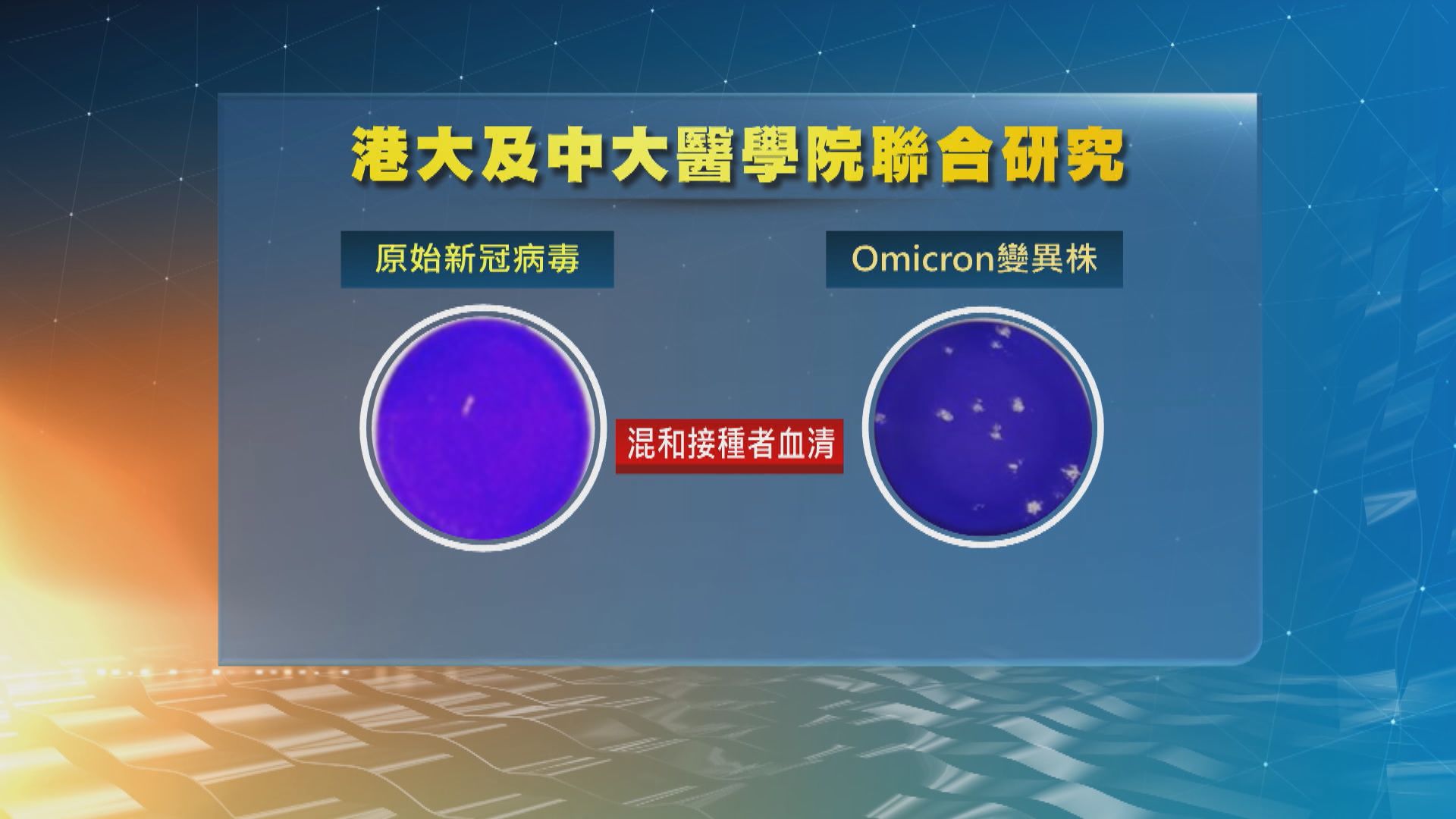 兩間大學醫學院聯合研究指Omicron大幅減低復必泰病毒中和能力
