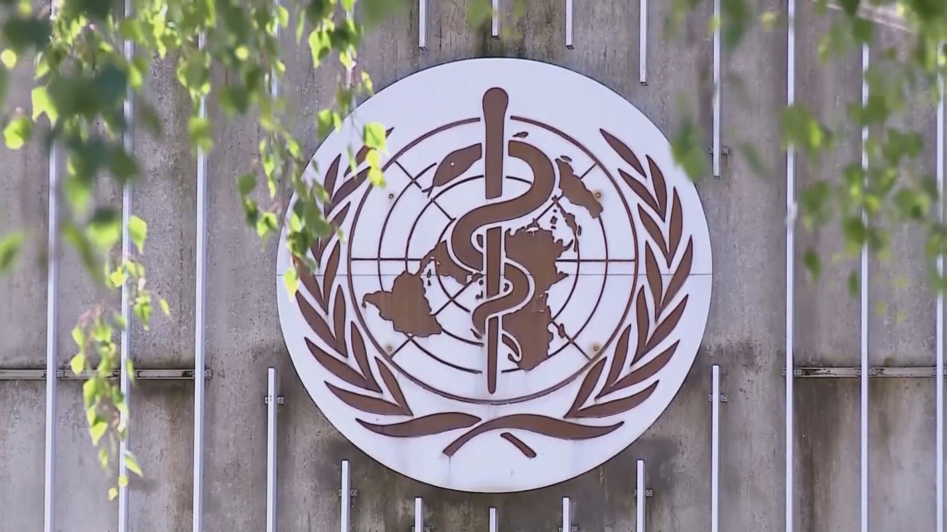 逾40國驗出JN.1變異株 世界衛生組織列「需關注變異株」