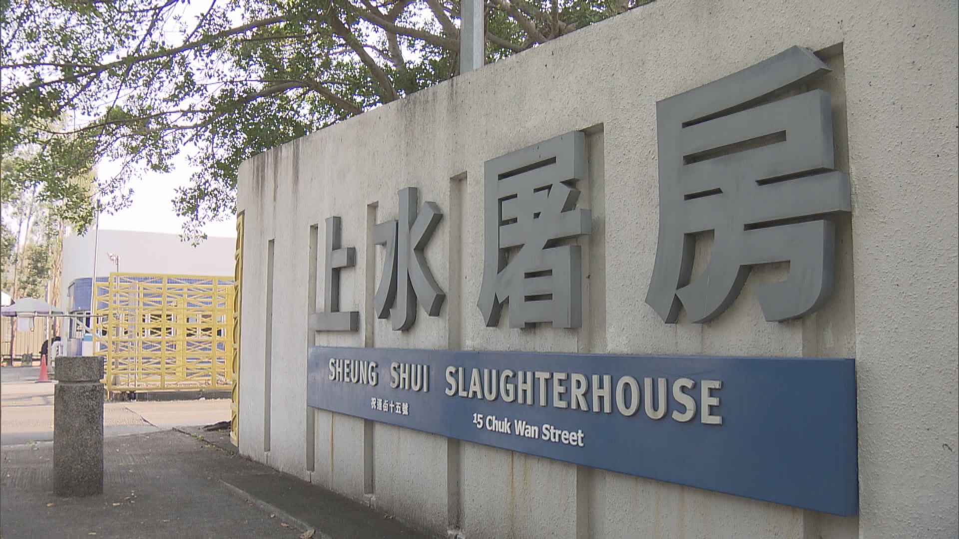 上水屠房一名工人初步確診　屠房運作不受影響