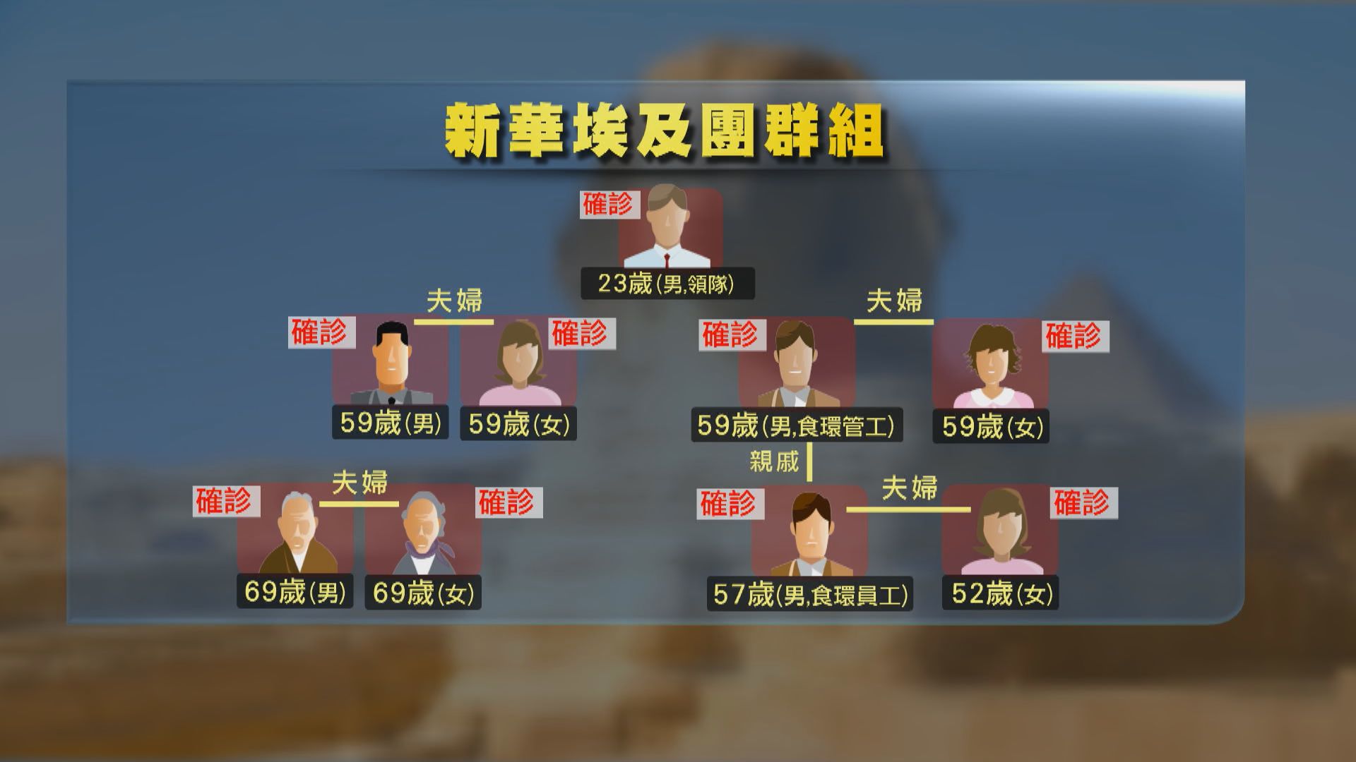 新華埃及團全團連領隊9人確診