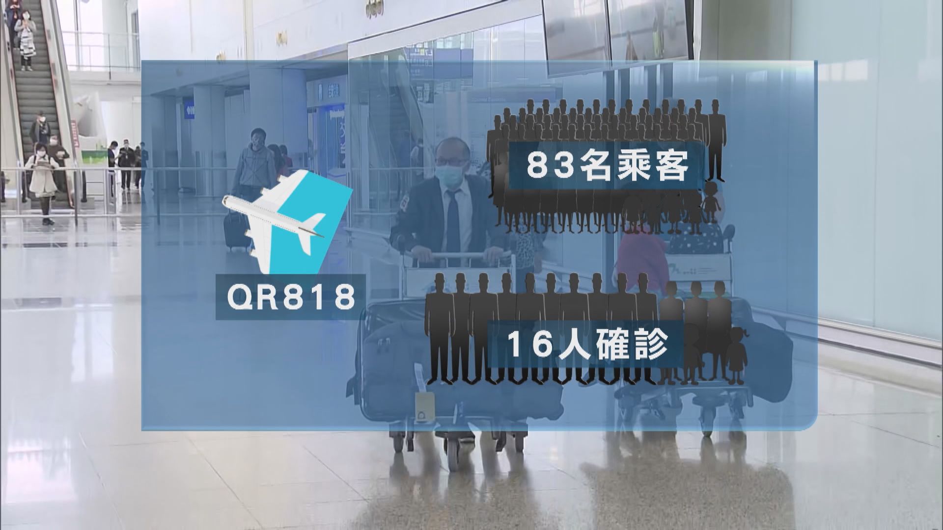 QR818航機有近兩成人確診　暫時確診比例最高航班