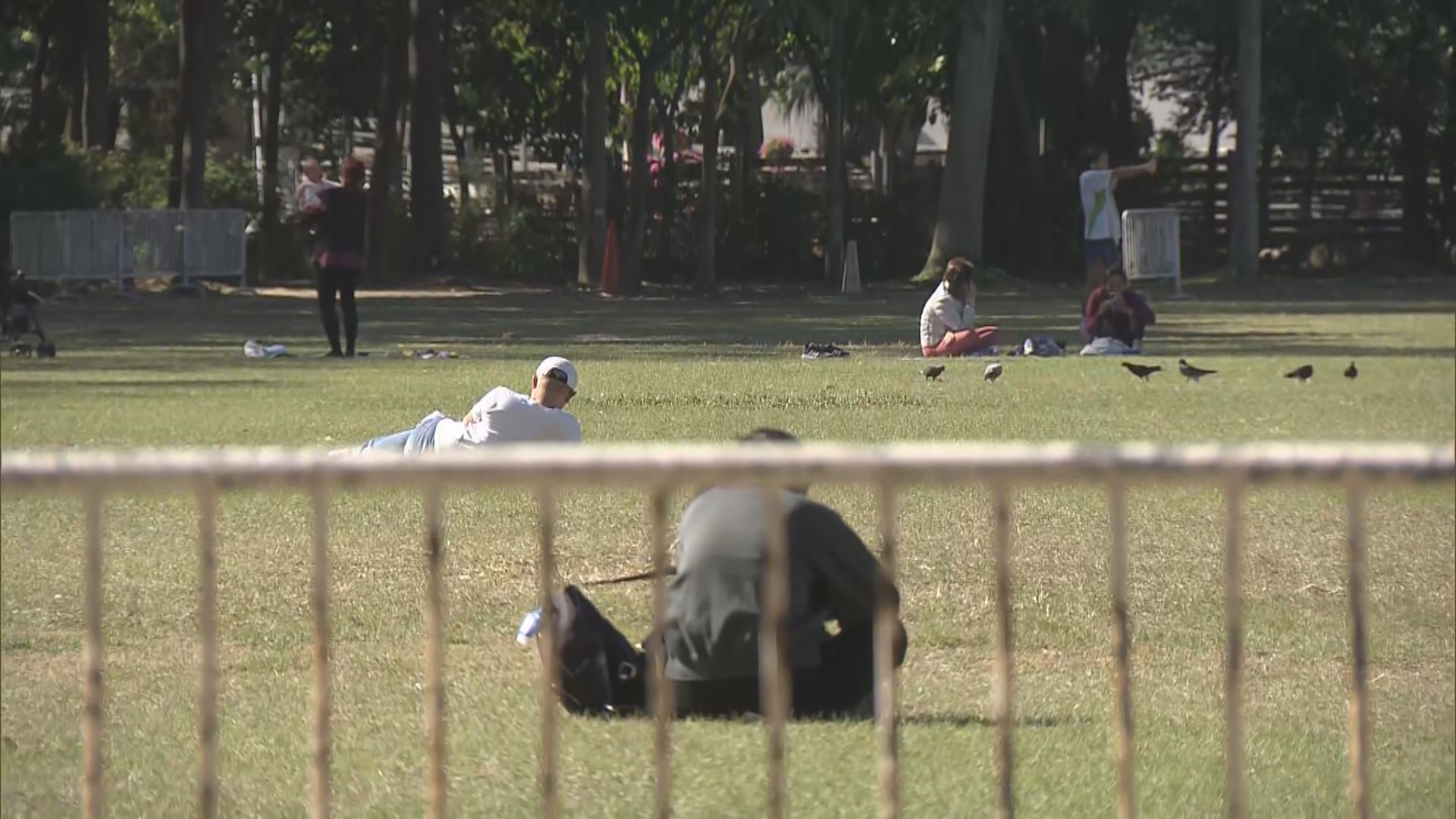 染疫空姐家人群組擴大　不排除維園跳舞時傳播病毒