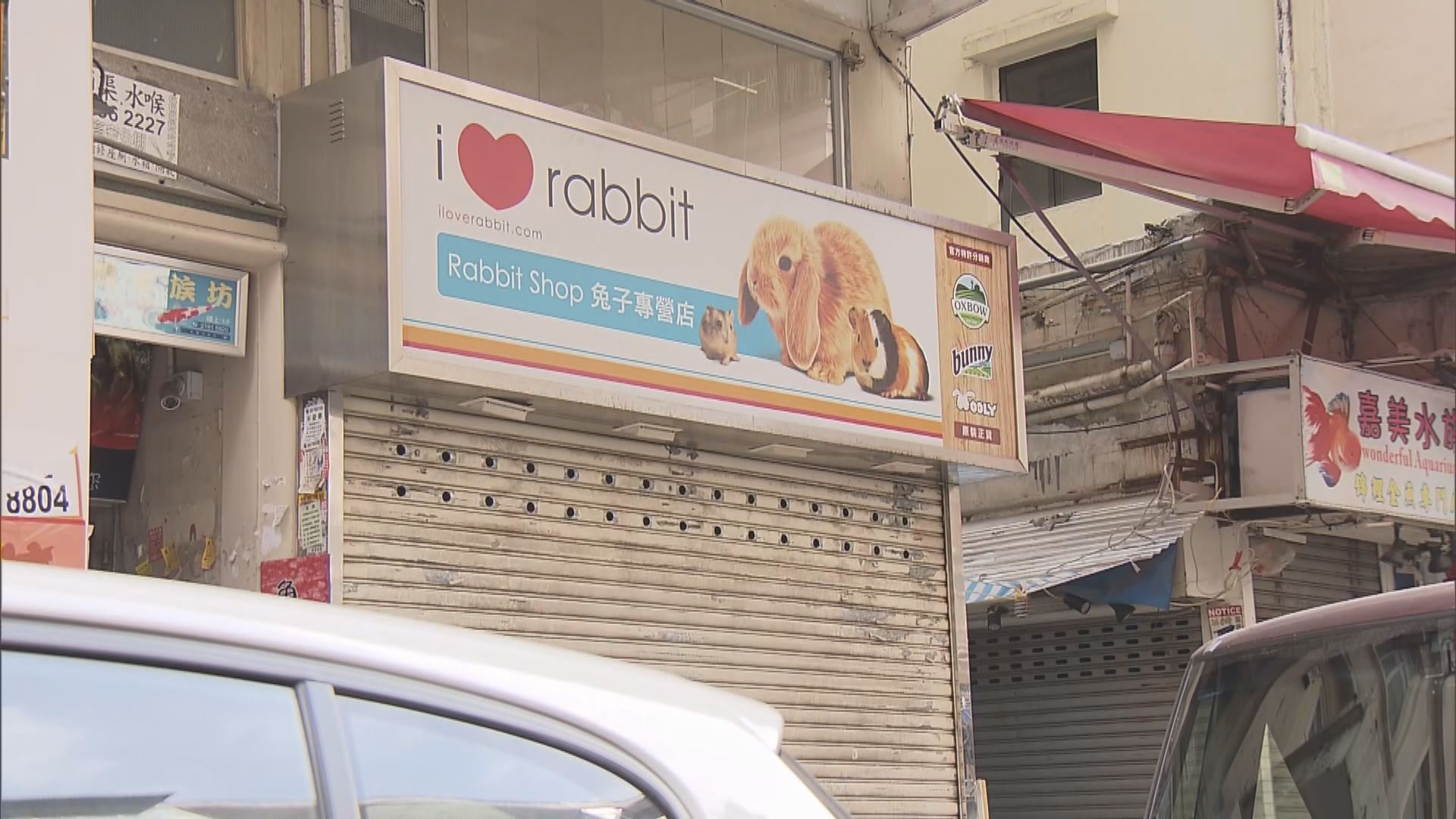 寵物店相關個案有蔓延跡象　當局相信由動物傳人