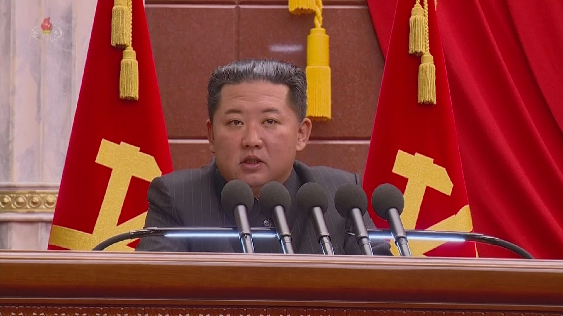 金正恩下令完善北韓式防疫體系