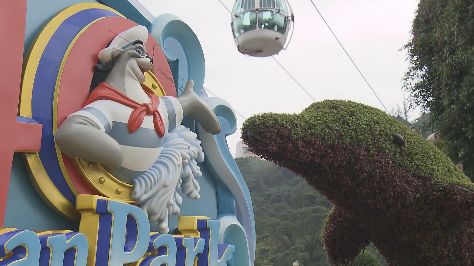 海洋公園按實際情況逐步將入場客量提高