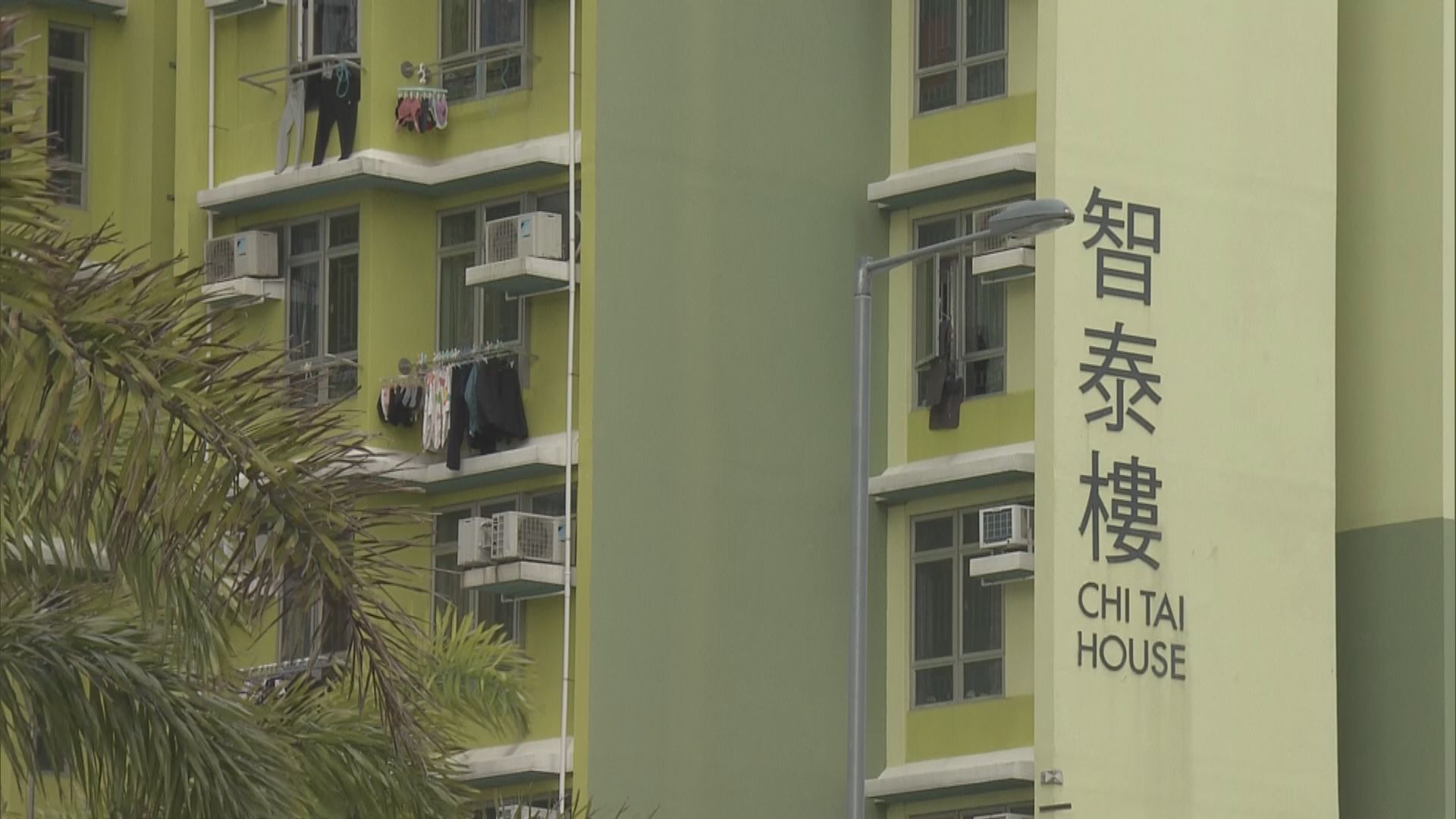 麗翠苑麗棠閣及安泰邨智泰樓各發現逾百宗初確