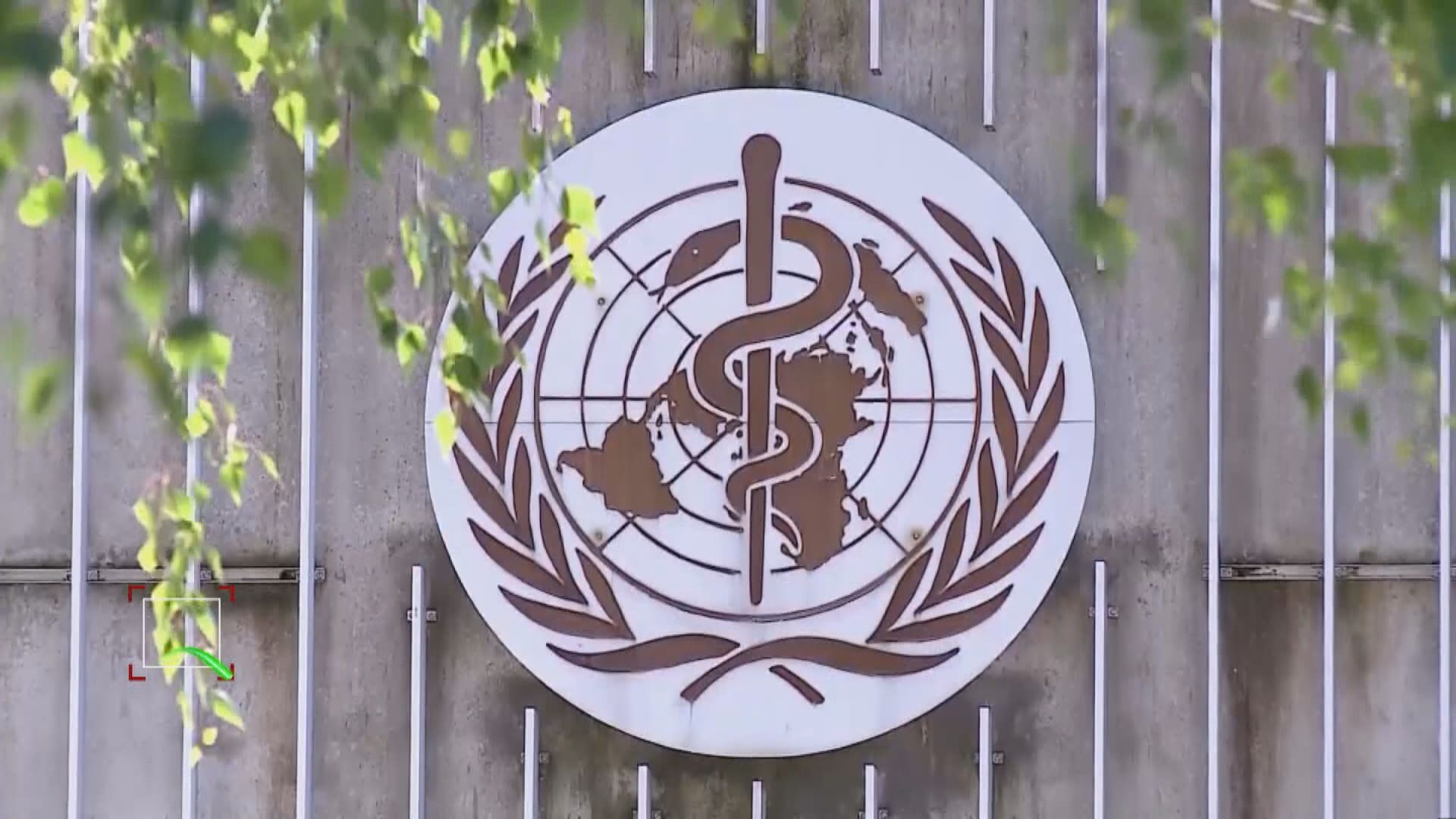 世衛要求意大利提交新冠病毒抗體樣本再作檢測