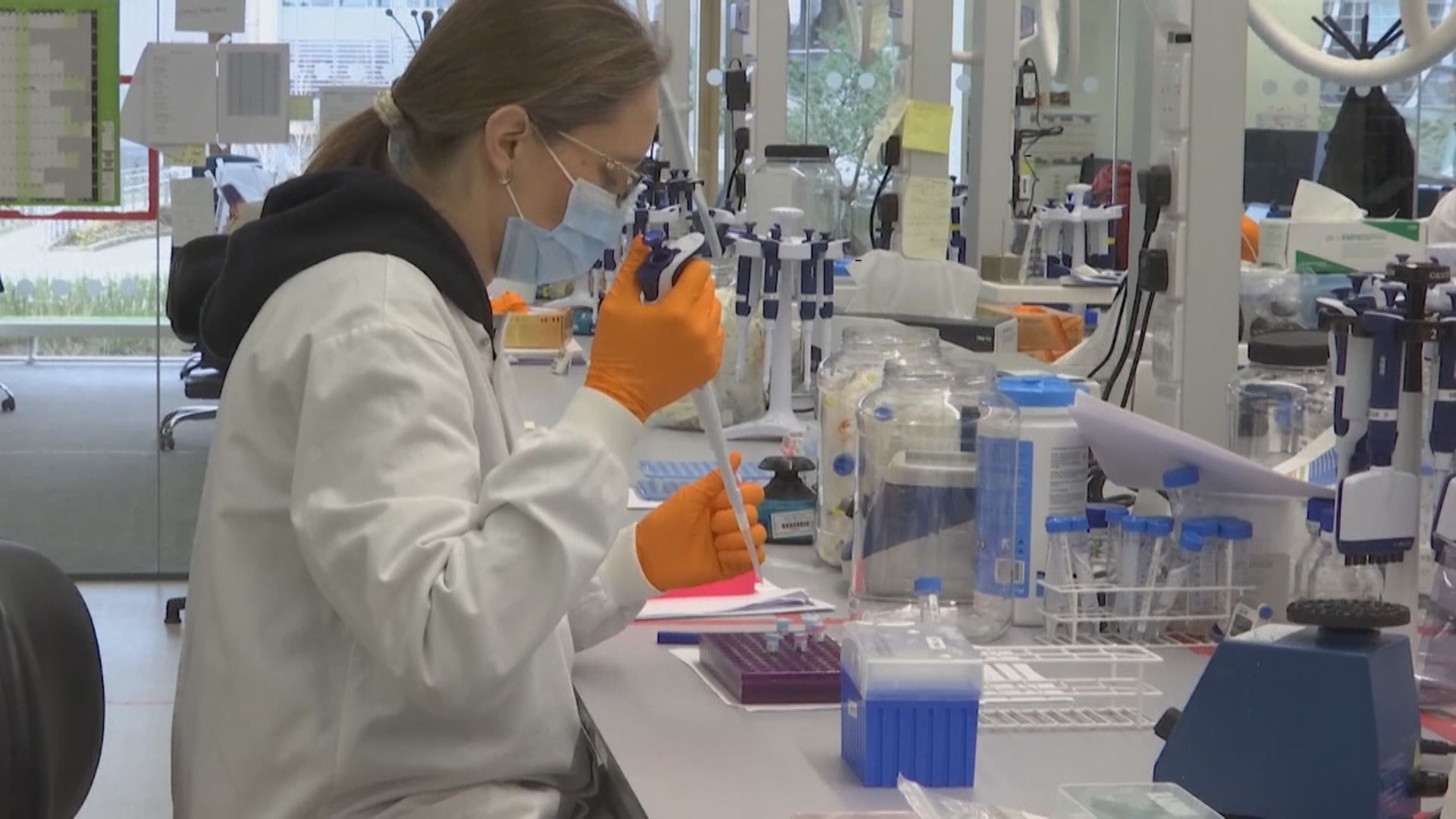 世衛：意研究人員擬短期內發表新冠病毒源頭跟進報告