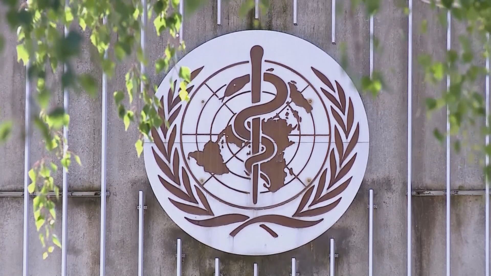 世衛：不能強迫成員國提交新冠病毒源頭數據