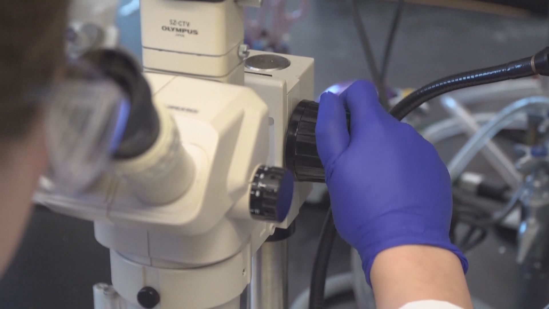 報道指美國去年中有機密報告提出「實驗室洩漏論」