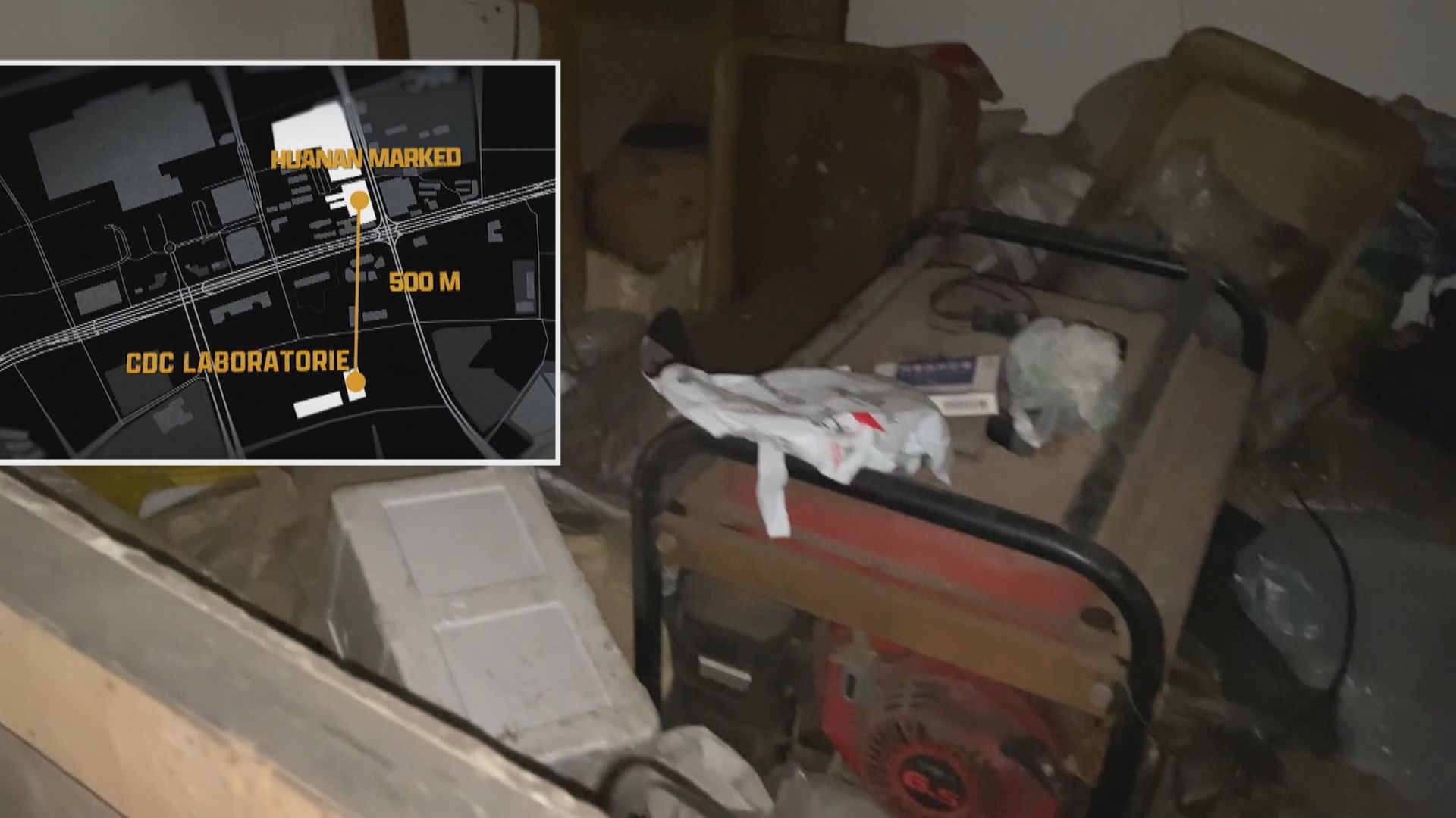 世衛專家組組長不排除病毒由實驗室傳出