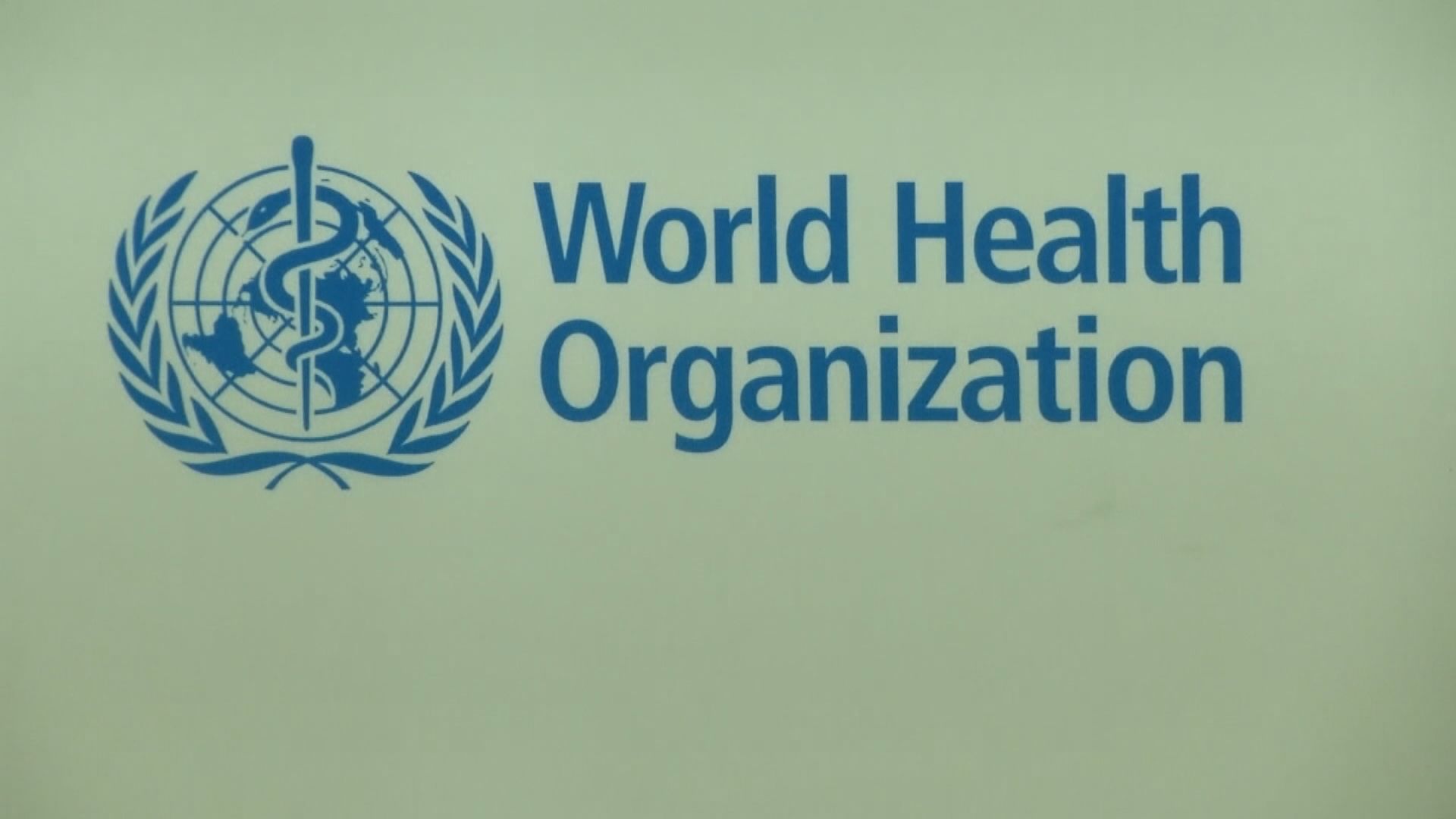 世衛呼籲專家加入病毒溯源調查新小組