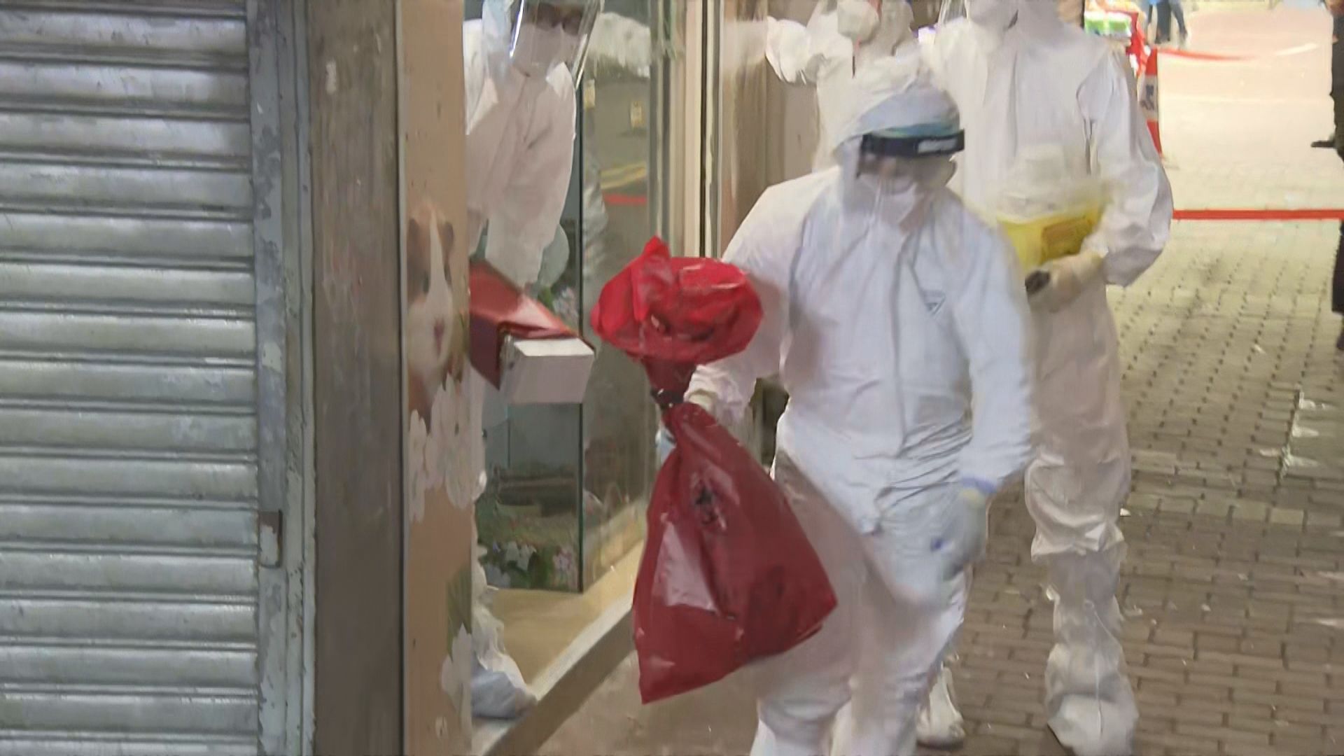 漁護署人員晚上完成Little Boss行動　料涉人道毀滅倉鼠