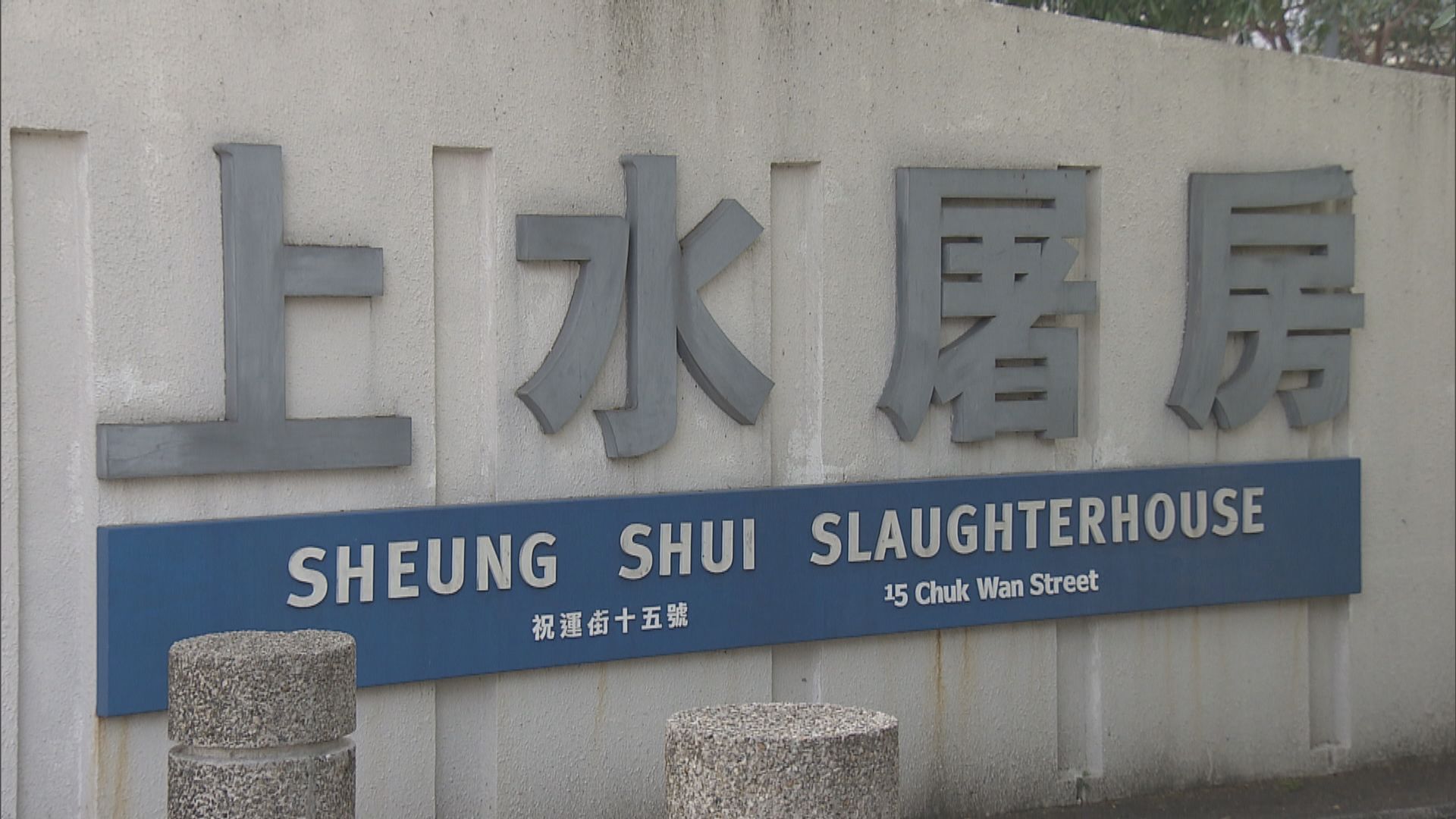 許偉堅：上水屠房周一恢復運作　翌日市面有活豬供應
