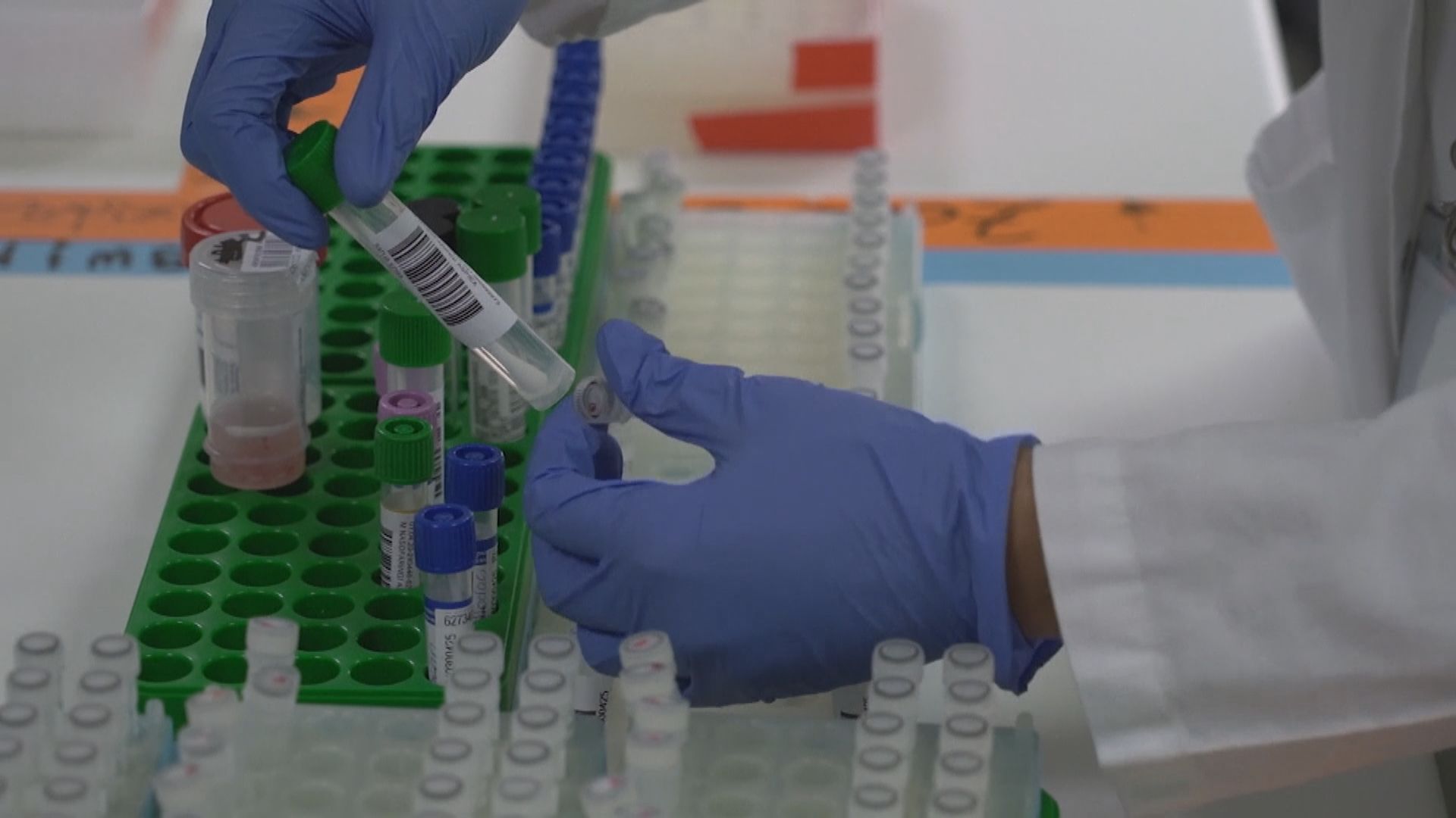 八國發表公開信敦促疫苗全球公平分配