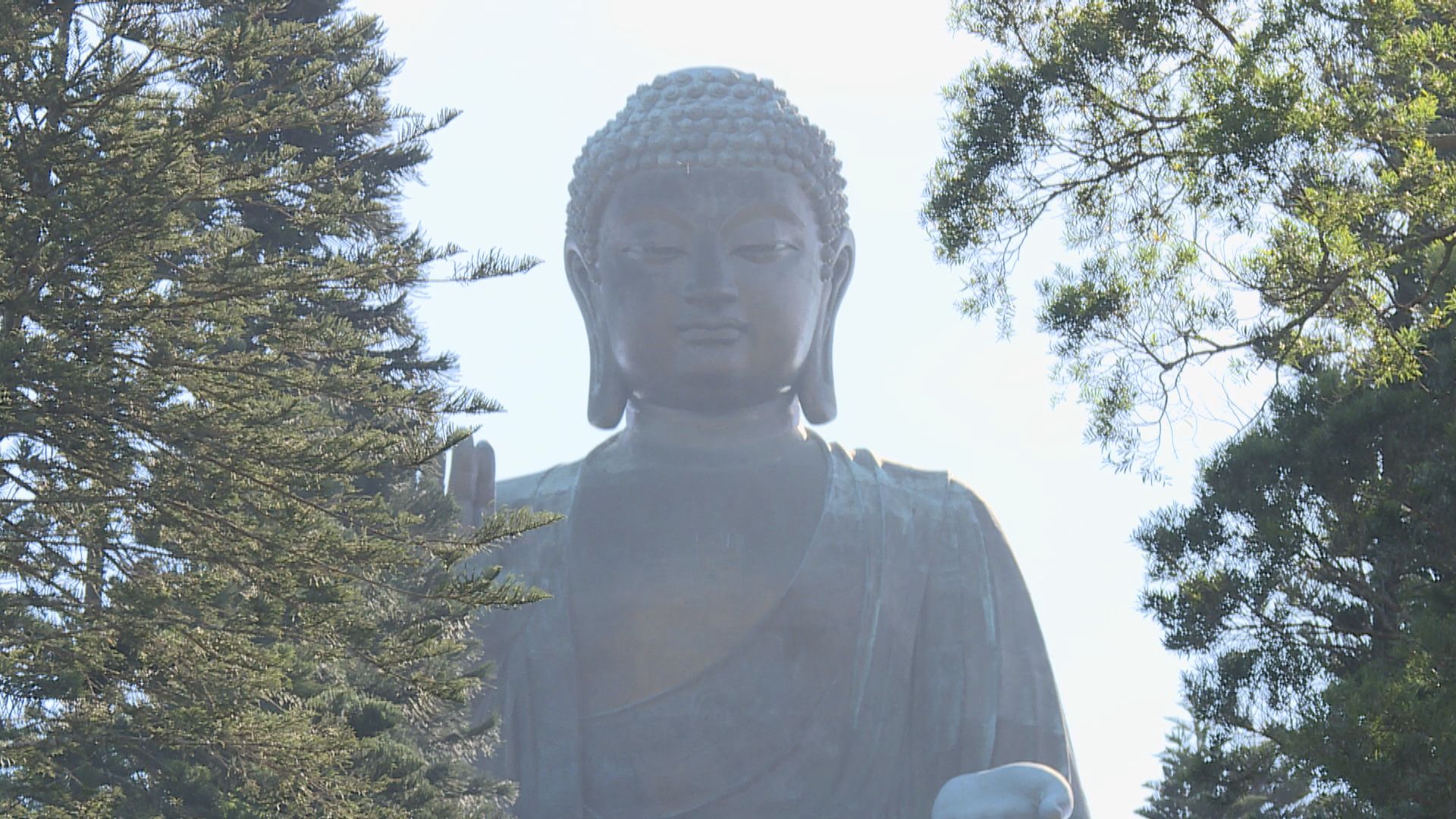 寶蓮寺及天壇大佛周一起暫停開放兩天