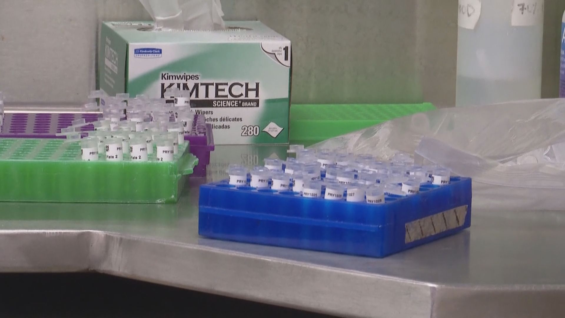 美國藉抗體檢測重啟經濟遇障礙