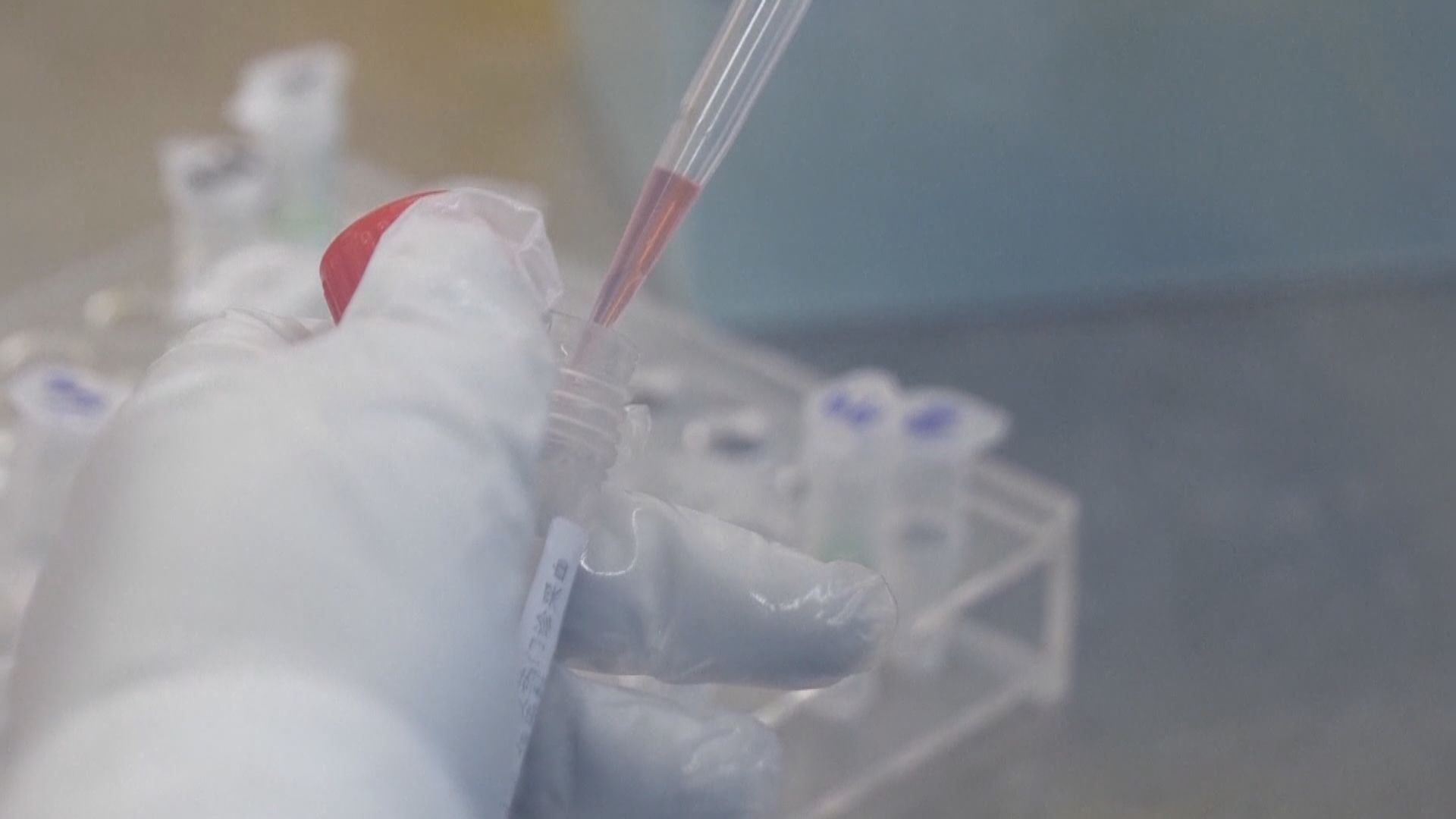 武漢經營醫院港商帶五萬試劑來港　稱獲批與本地化驗所合作做測試