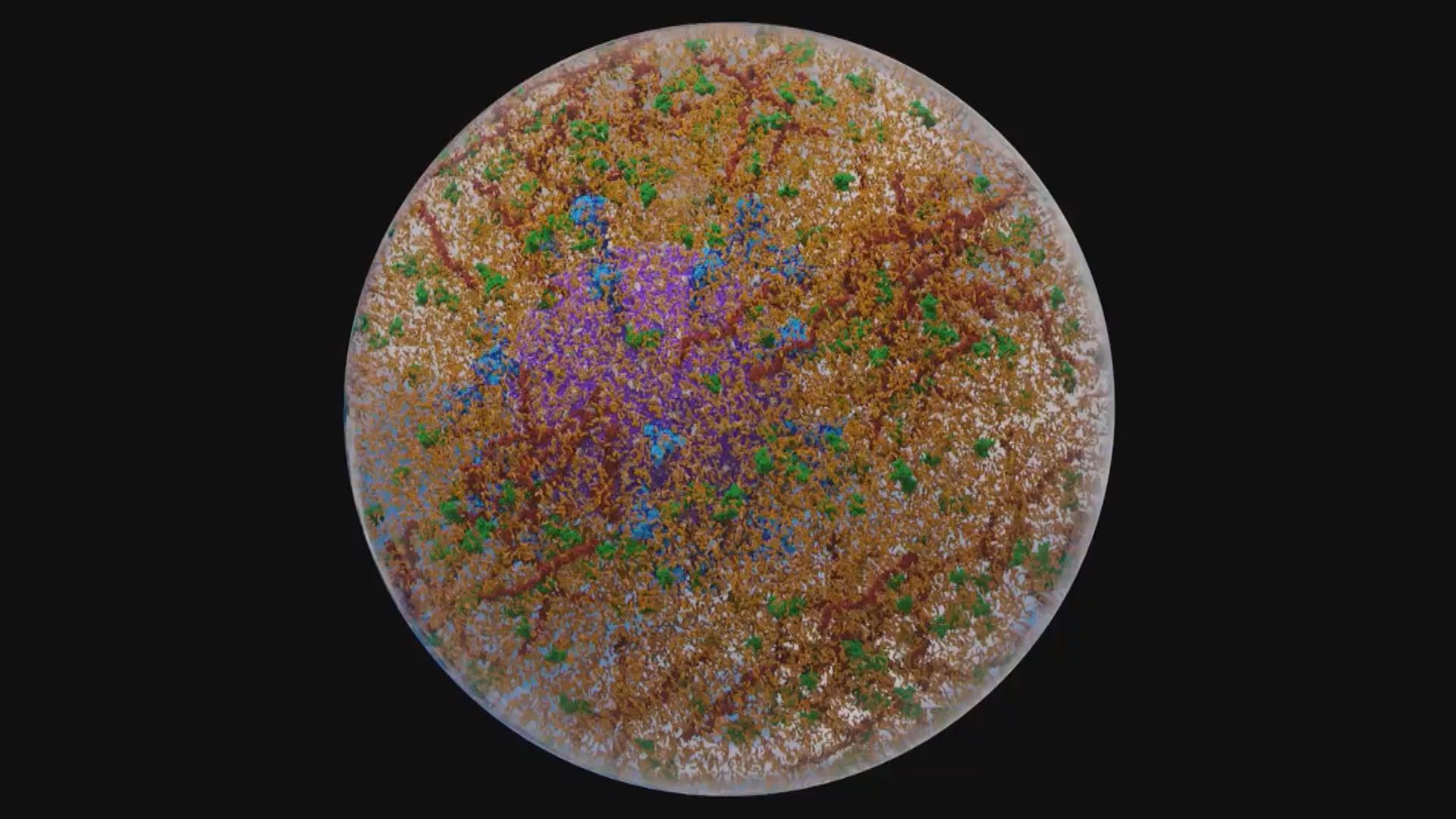 世衛大會同意草擬新公約應對大流行病