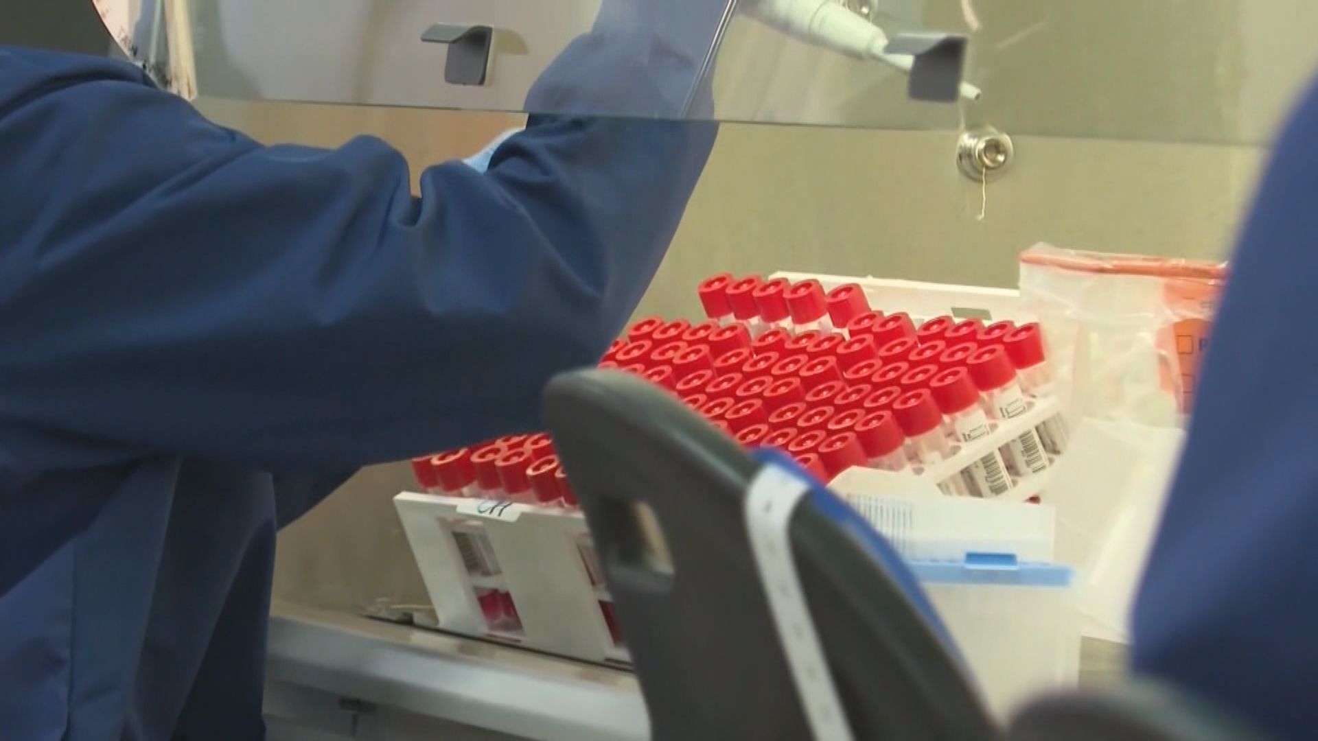 台灣新冠本土個案患者曾兩次遭染疫老鼠咬傷