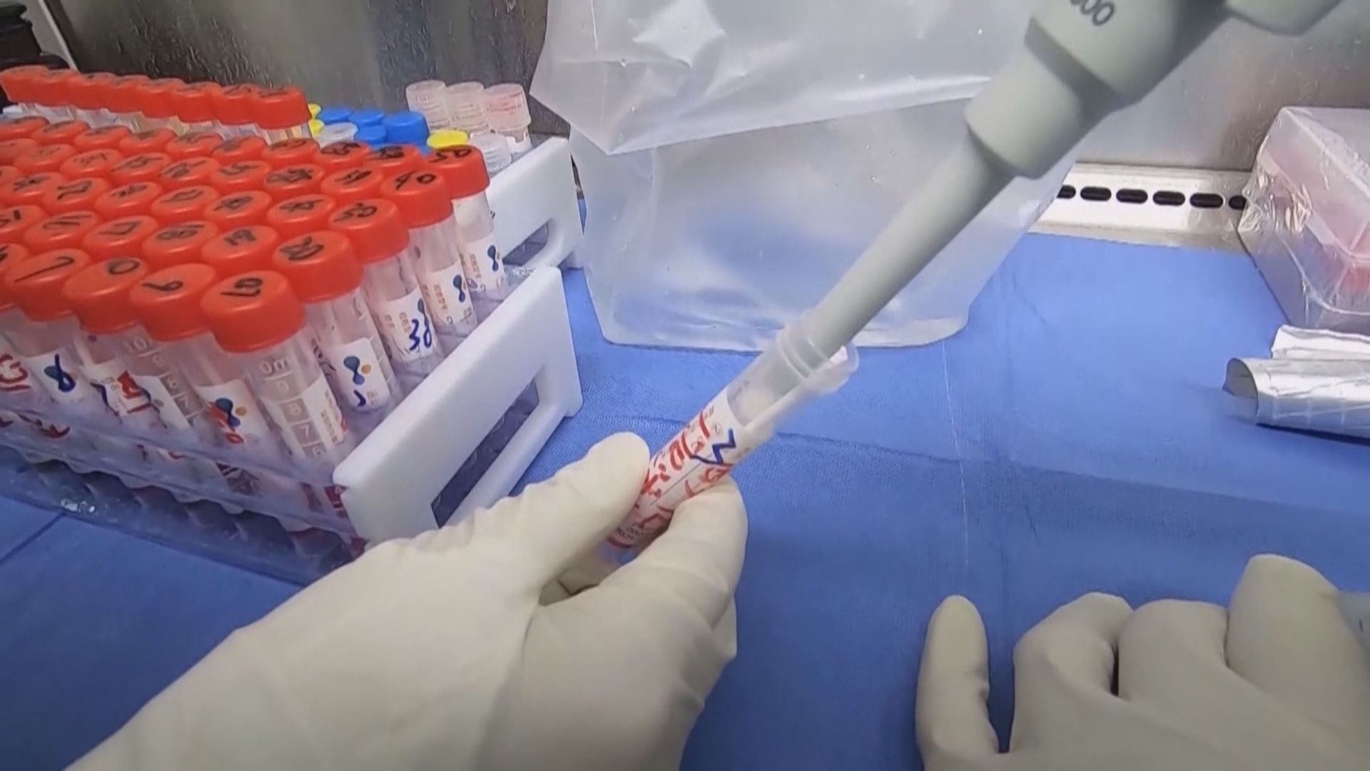 美國情報部門調查中國及世衛是否隱瞞疫情