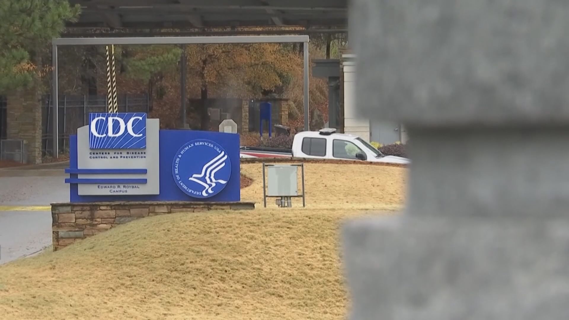 美近半州份新冠病毒個案回升　外界擔心或現第二波疫情