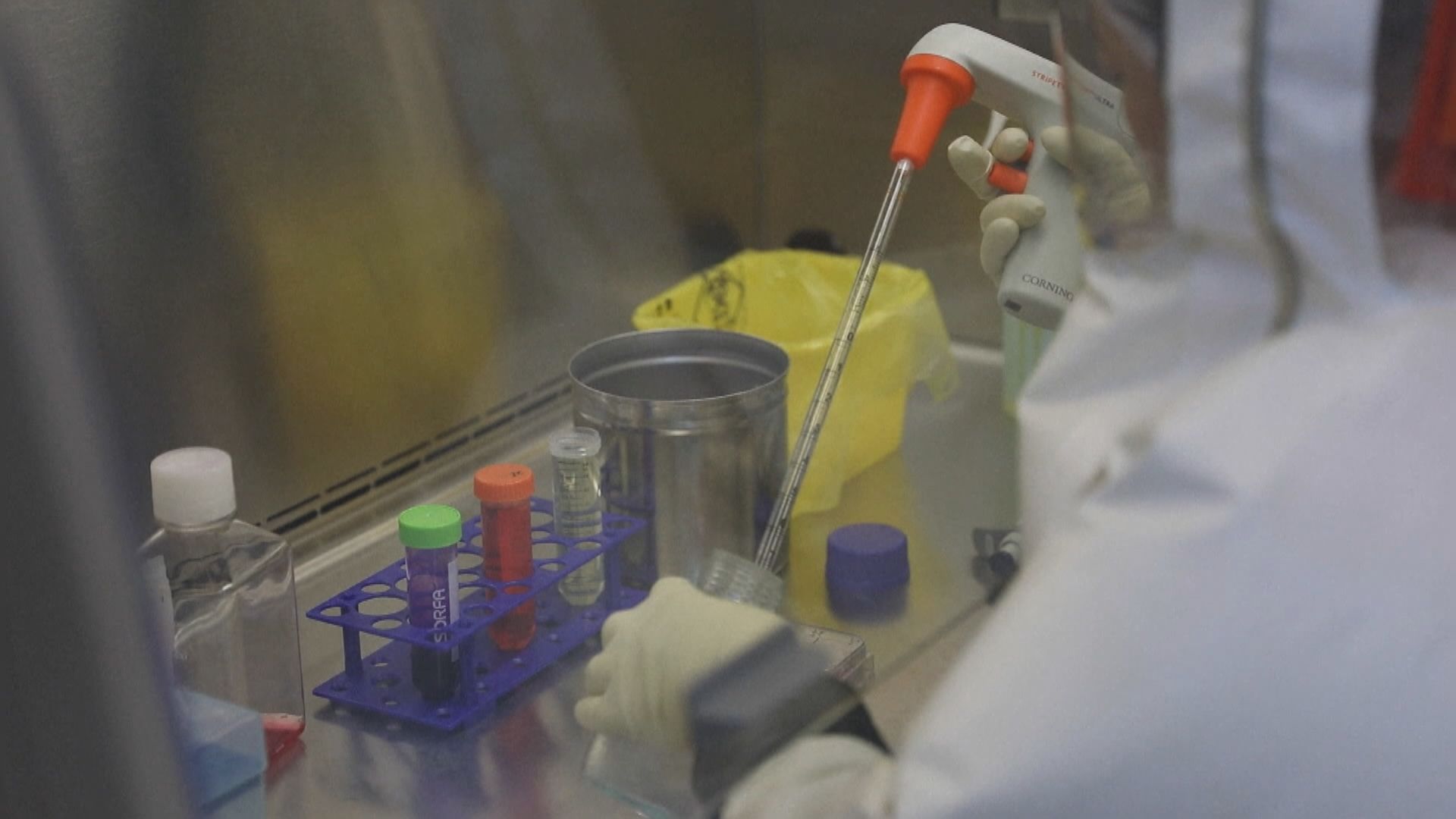 拜登簽署法案解密涉及新冠病毒源頭文件　外交部批法案涉華內容嚴重歪曲事實