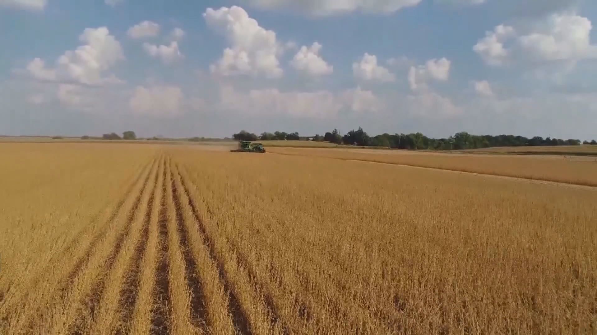 美國向農業提供190億美元援助