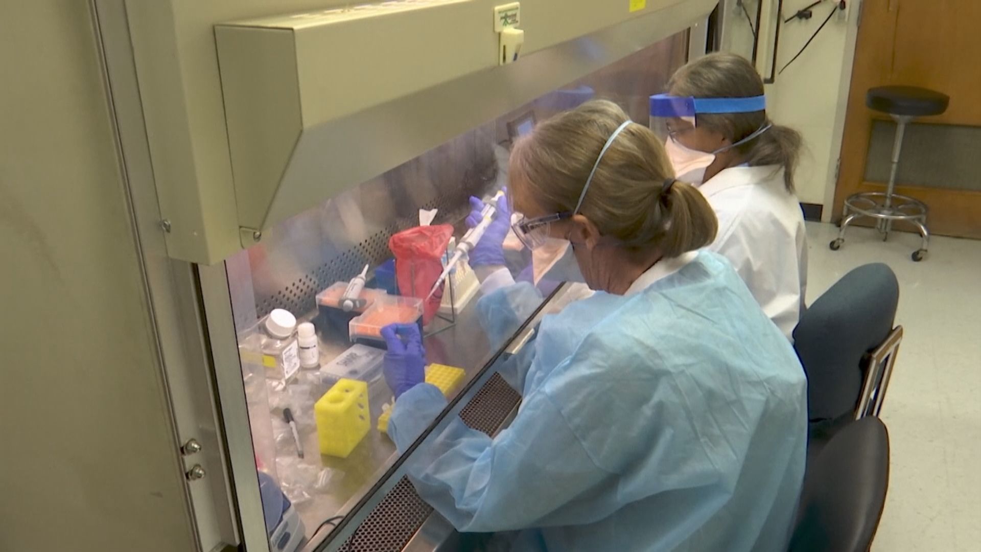 美國研究新冠病毒合併檢測法　料一日或能檢測五百萬人