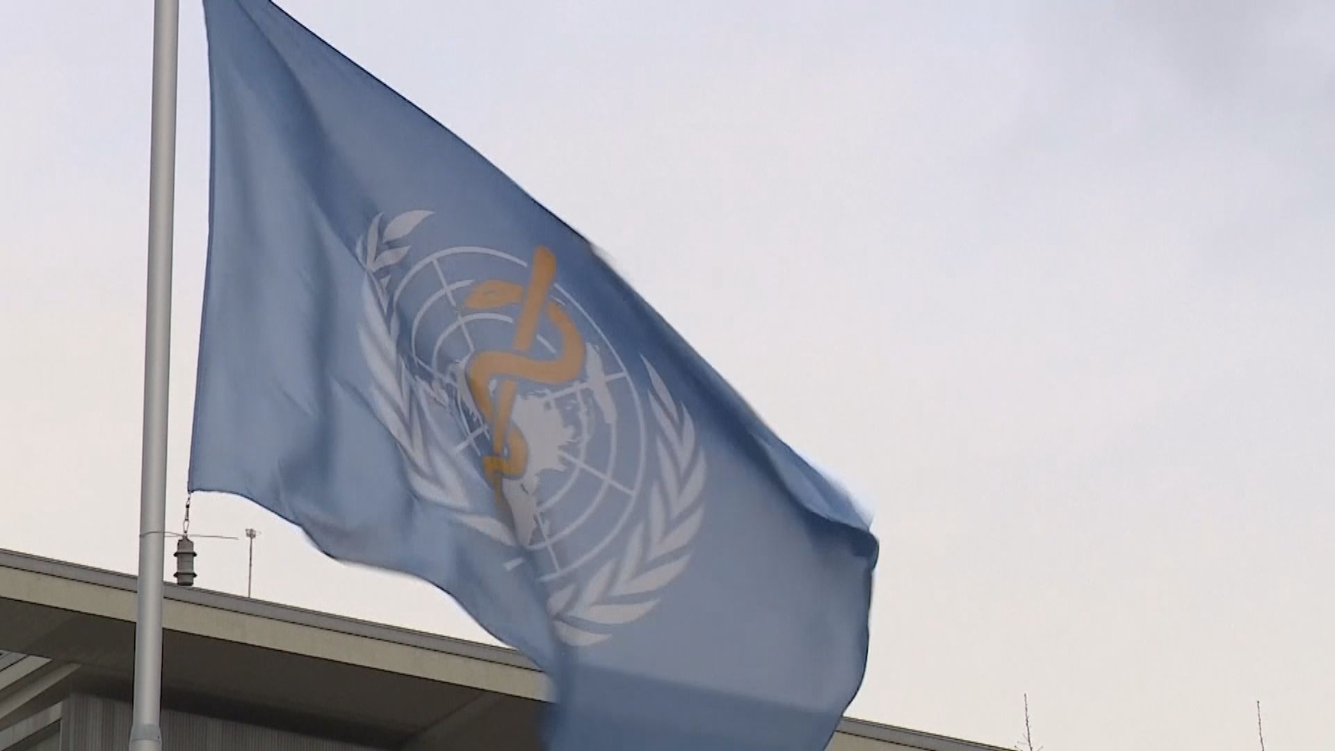 特朗普下令美國暫停向世衛提交經費