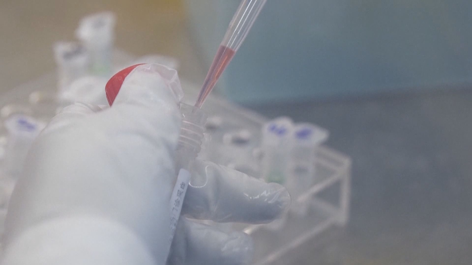 美國傳染病專家福奇相信新型冠狀病毒來自大自然