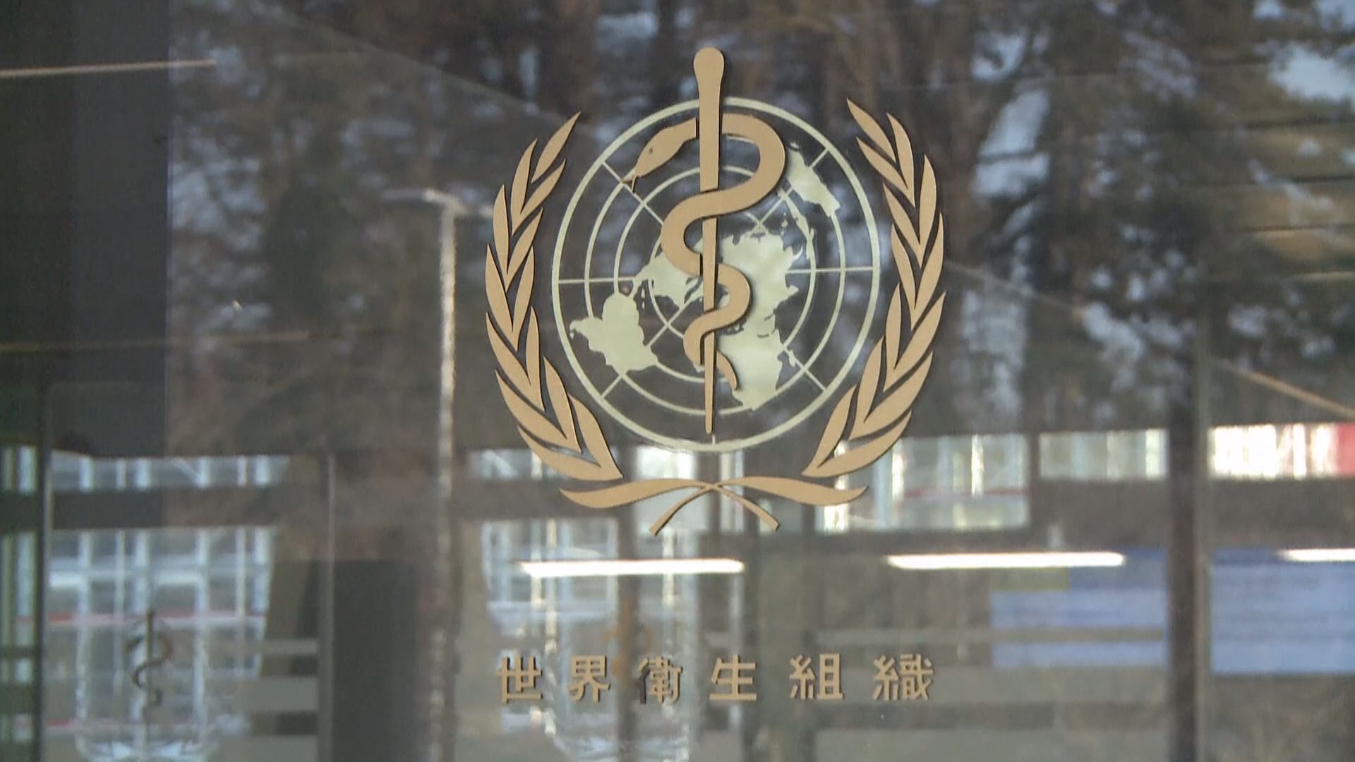 世衛總幹事對中國防控疫情有信心