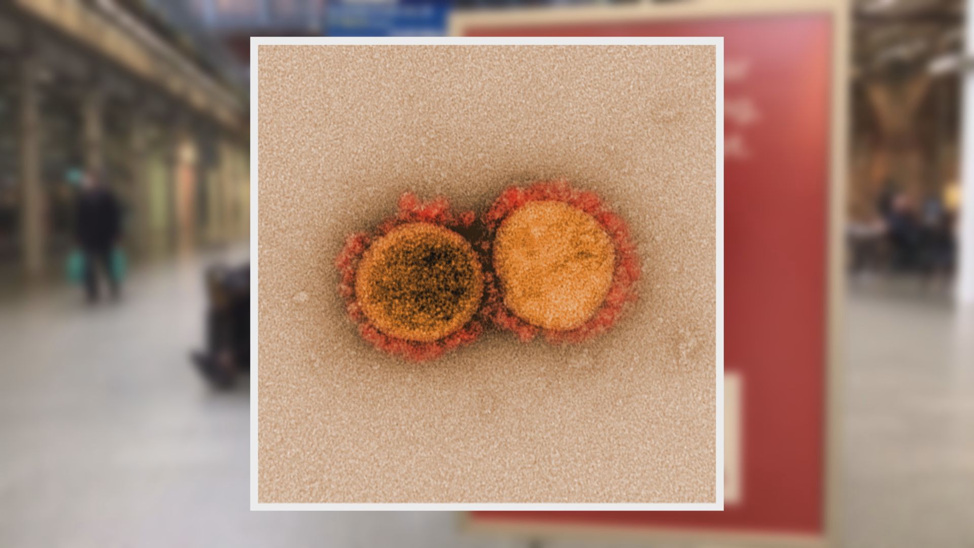 英科學家指變種病毒株其中一種基因變異令傳播力增七成