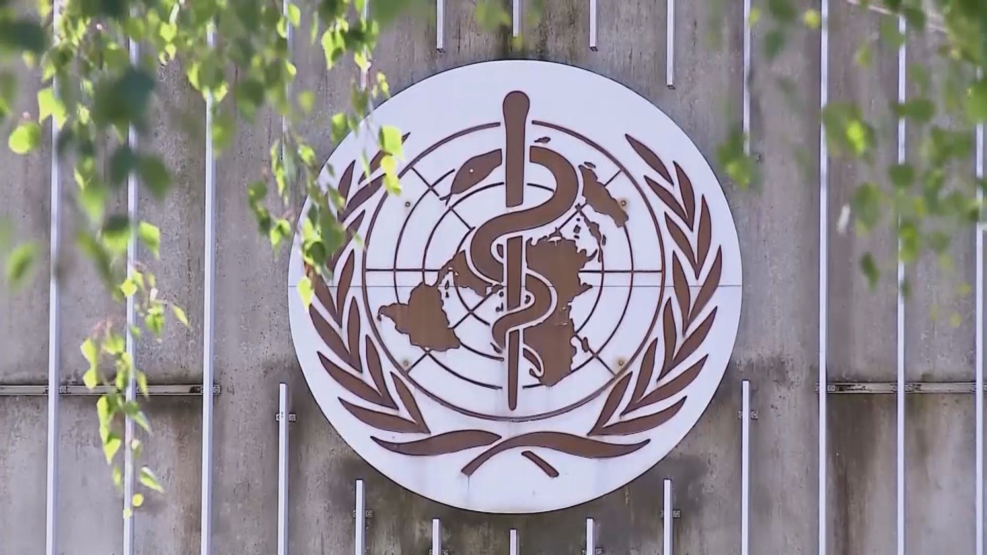 B.1.1.529勢強　歐亞多國及地區實施旅遊限制