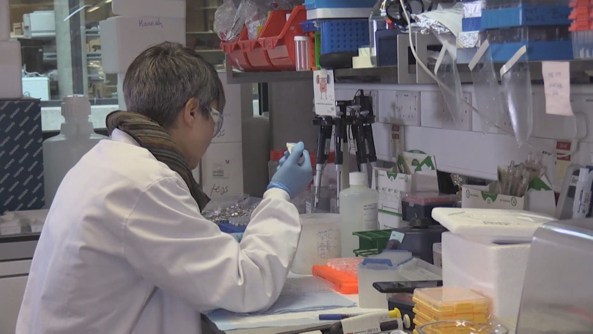 塞浦路斯發現結合Delta、Omicron的新病毒