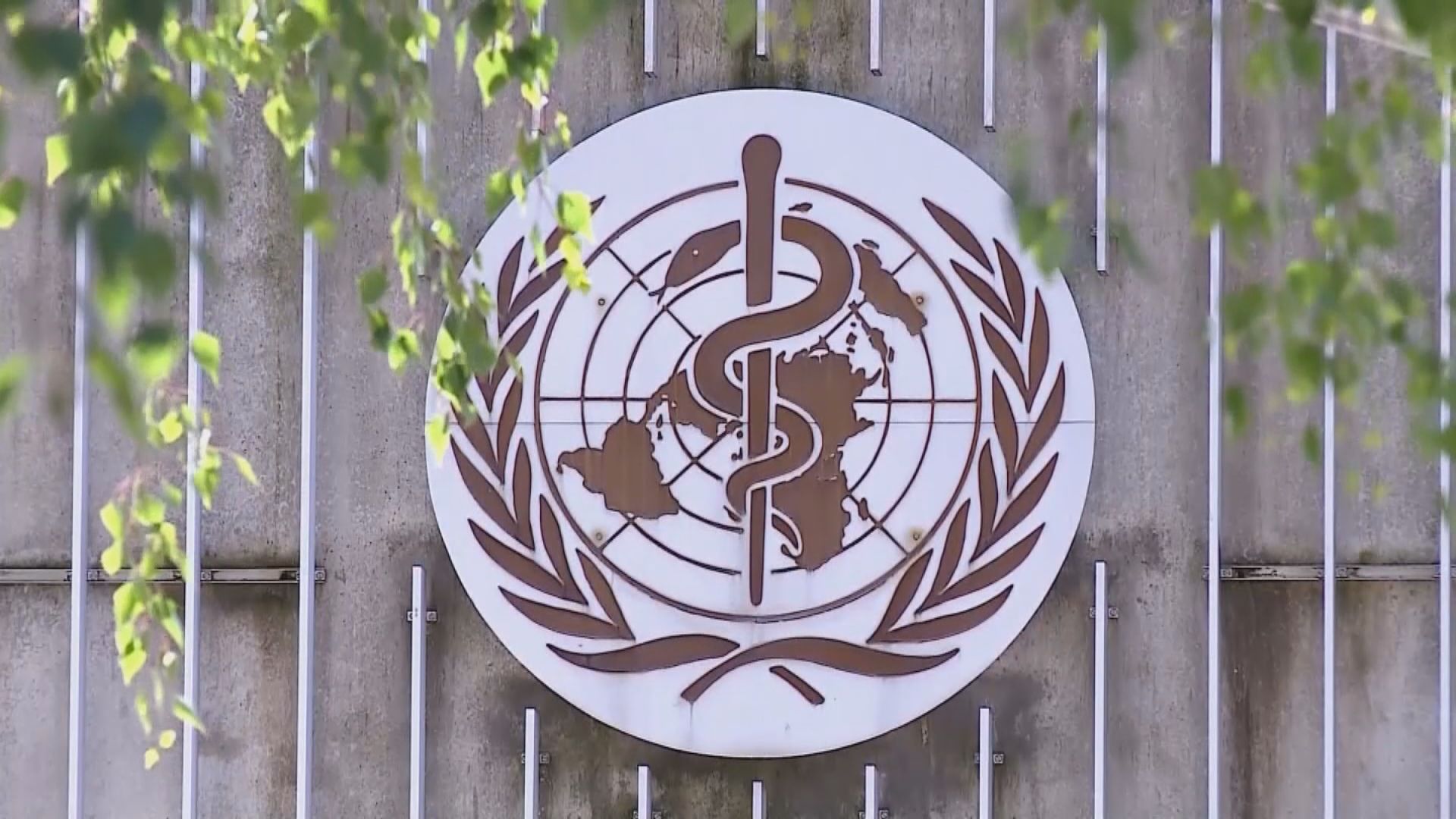 特朗普再批世衛是中國傀儡　快將決定是否繼續資助世衛